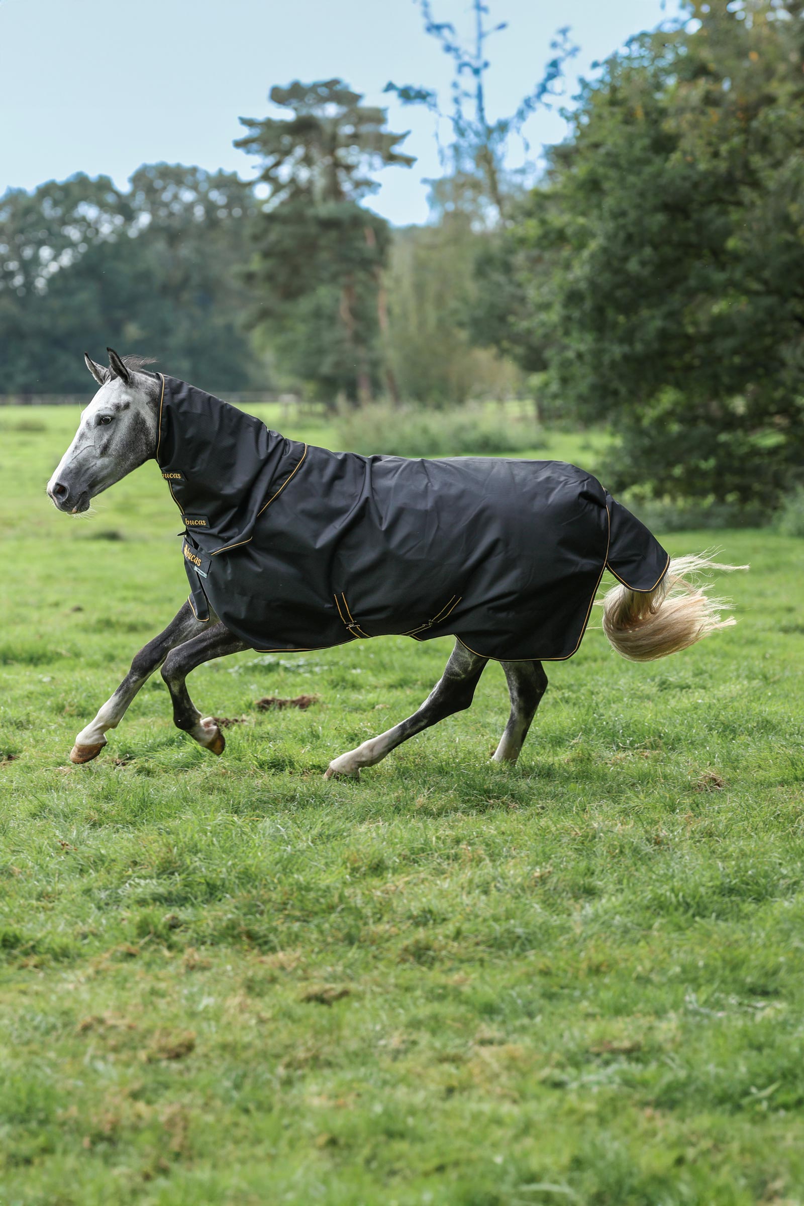 Bucas Irish Turnout couvre-cou, 0g