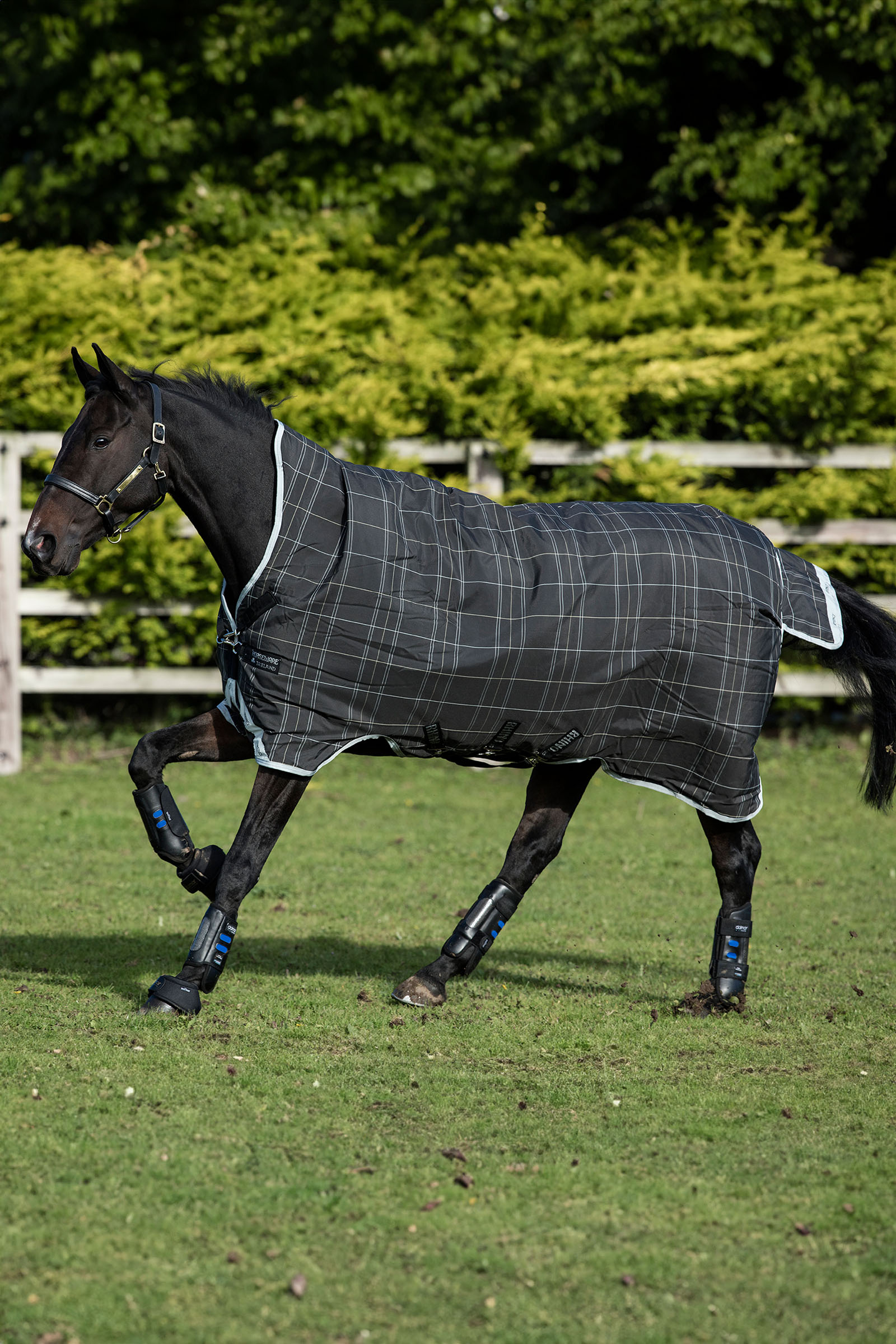 Horseware Rhino Wug couverture de prairie, 100 g