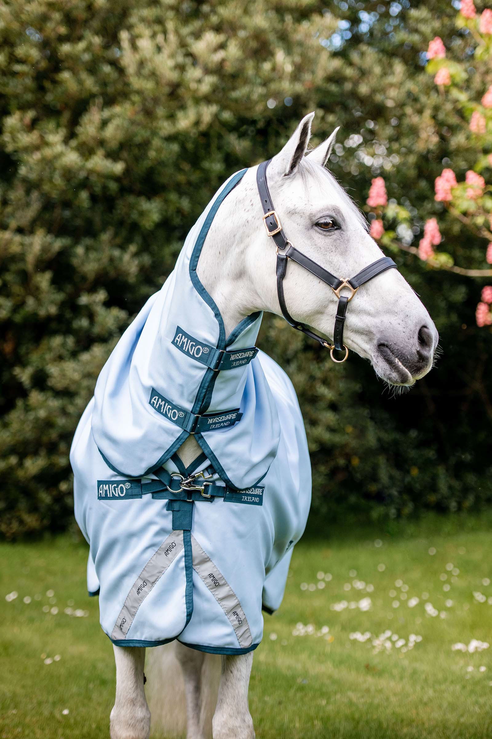 Tapis d'extérieur Horseware Amigo Teinture plantes, 50 g