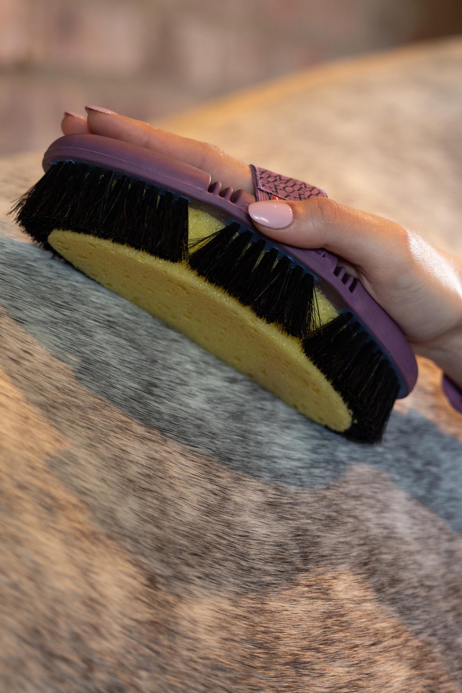 LeMieux Flexi Sponge brosse