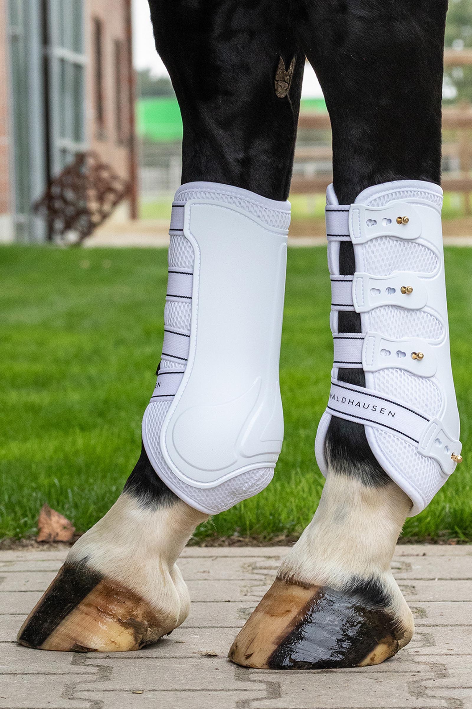 Waldhausen Breath guêtres tendon (paire)