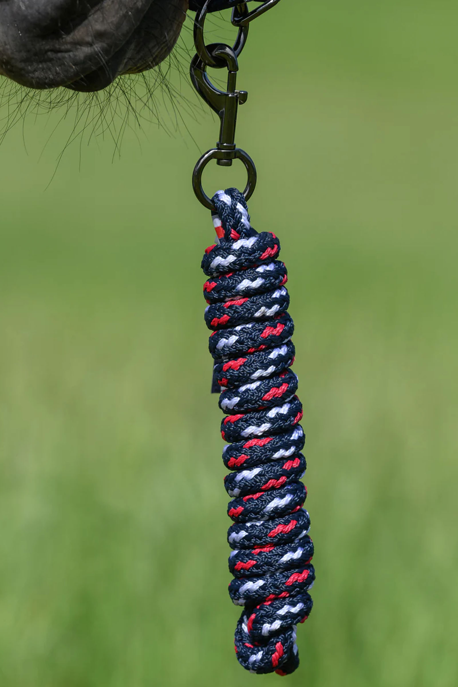 Tommy Hilfiger Equestrian Yale ensemble licol et longe