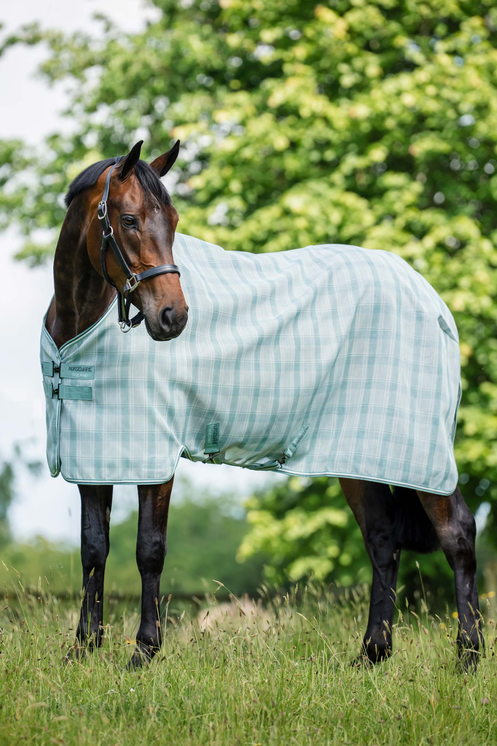 Horseware Newmarket couverture anti-mouches avec protection UV