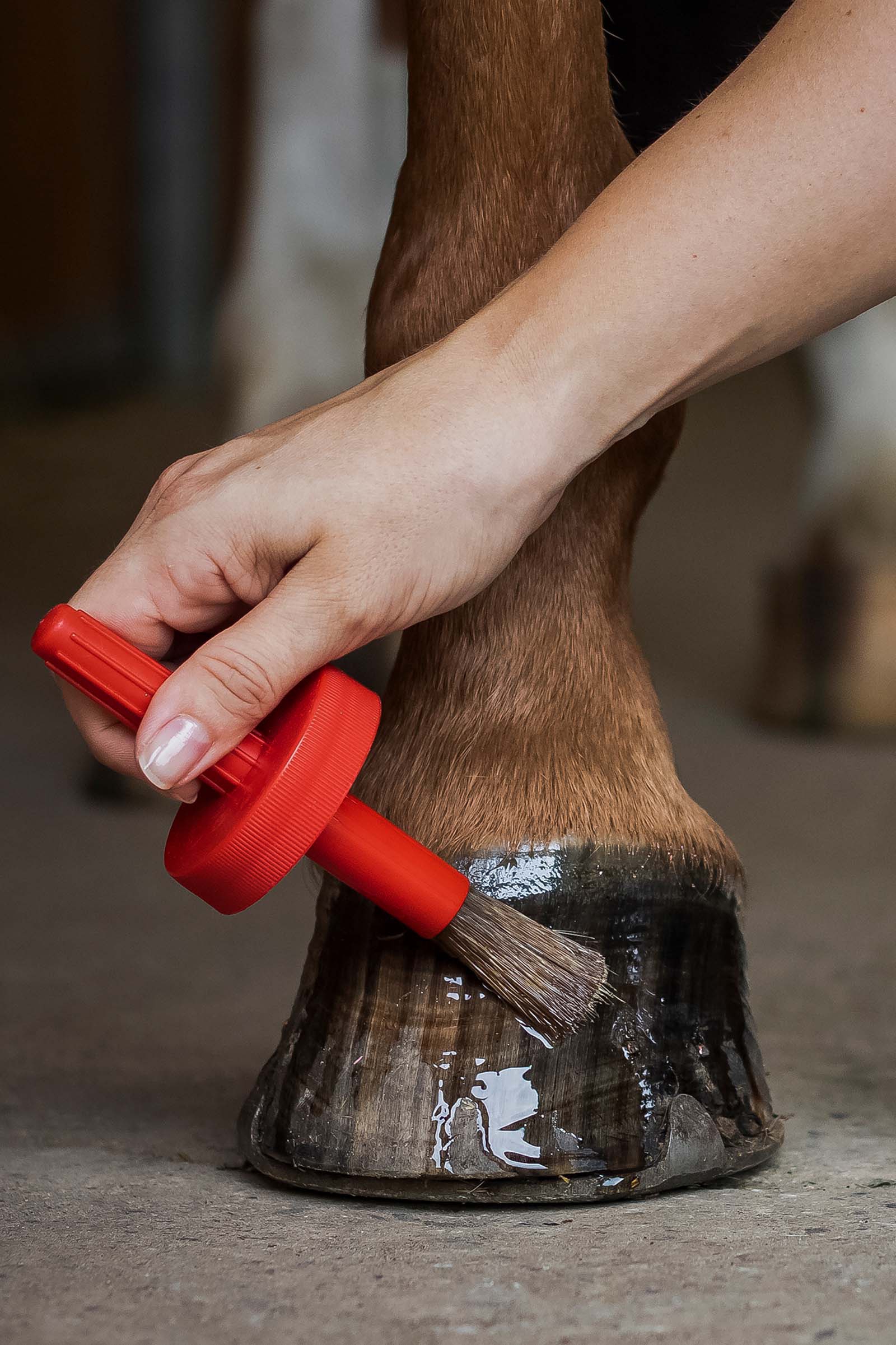 Leovet HUFLAB Huile pour sabot 450 ml