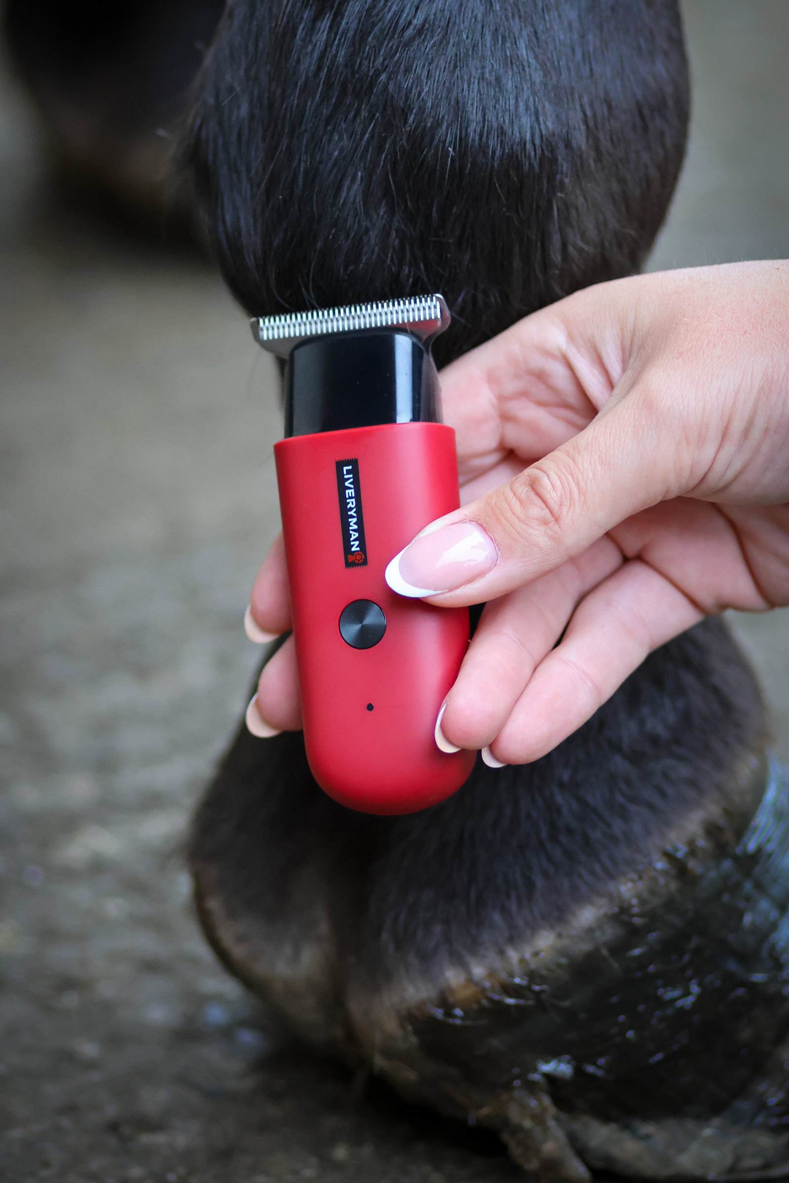 Liveryman Robin Tondeuse pour chevaux 