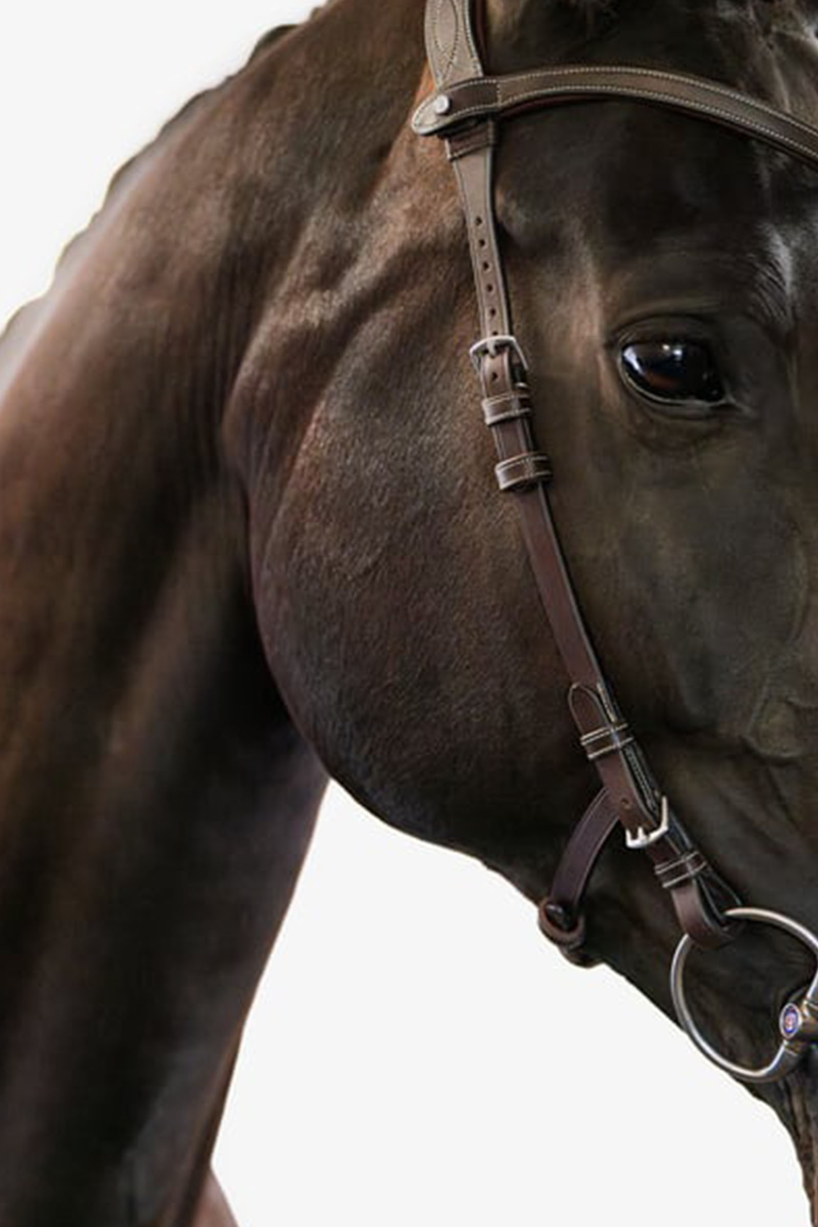 Filet PS of Sweden Helsinki