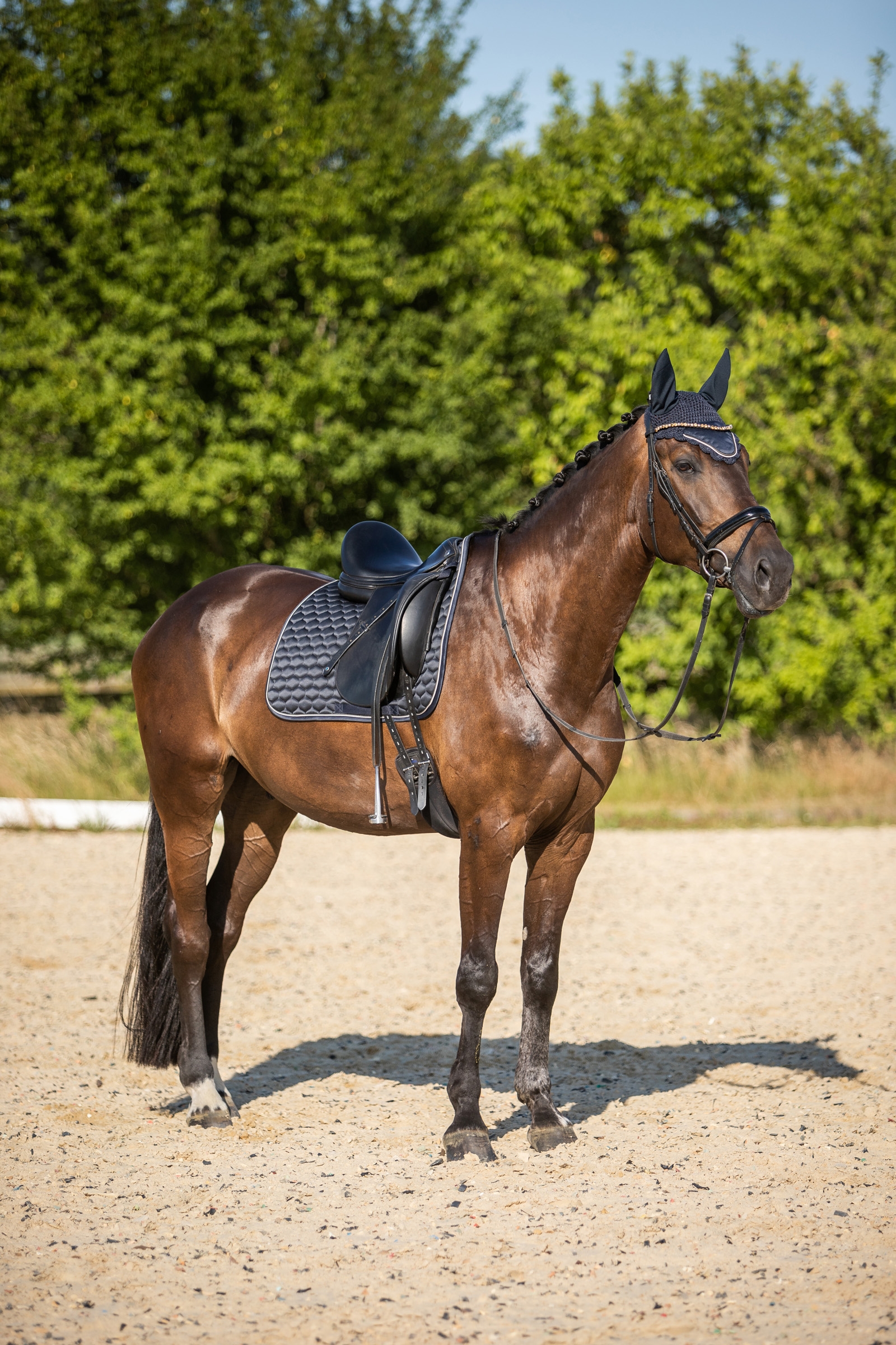 Tapis de selle de dressage Horze Sandness