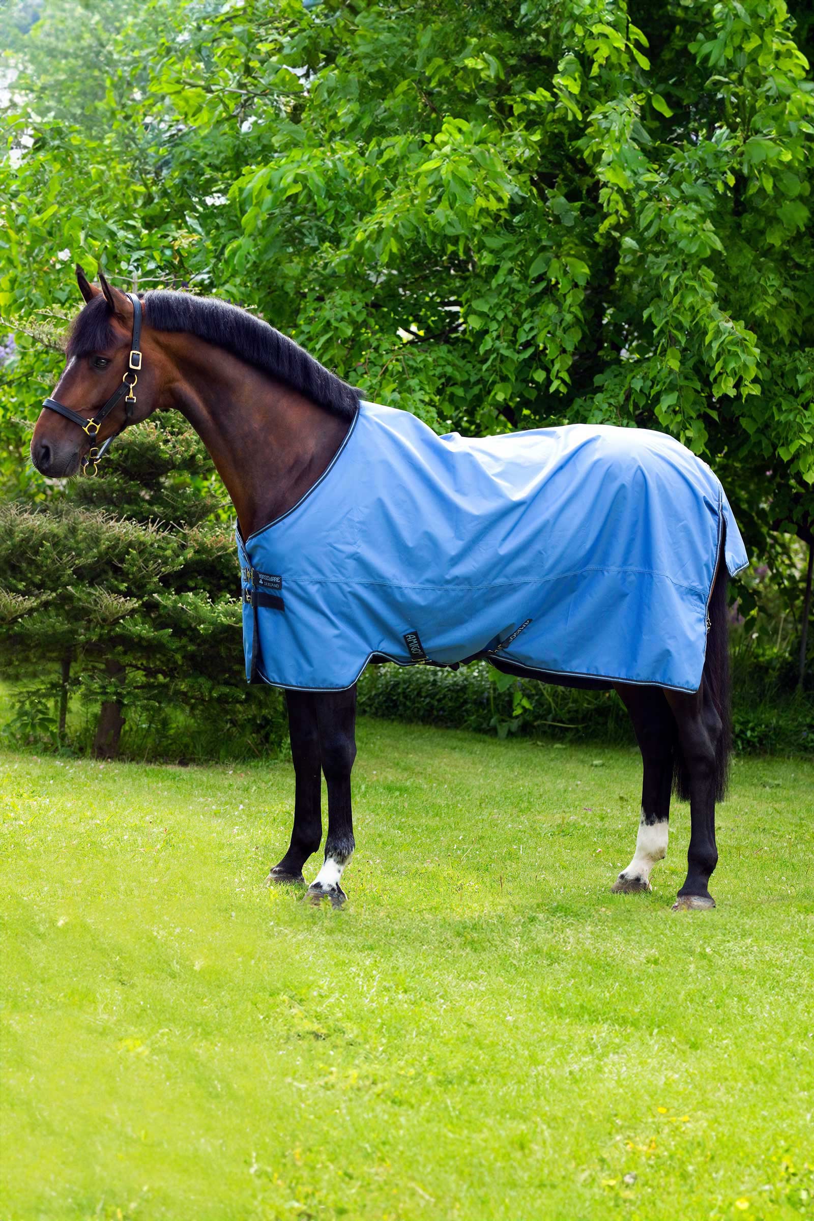 Horseware Amigo Hero 900 couverture d'extérieur, 50g