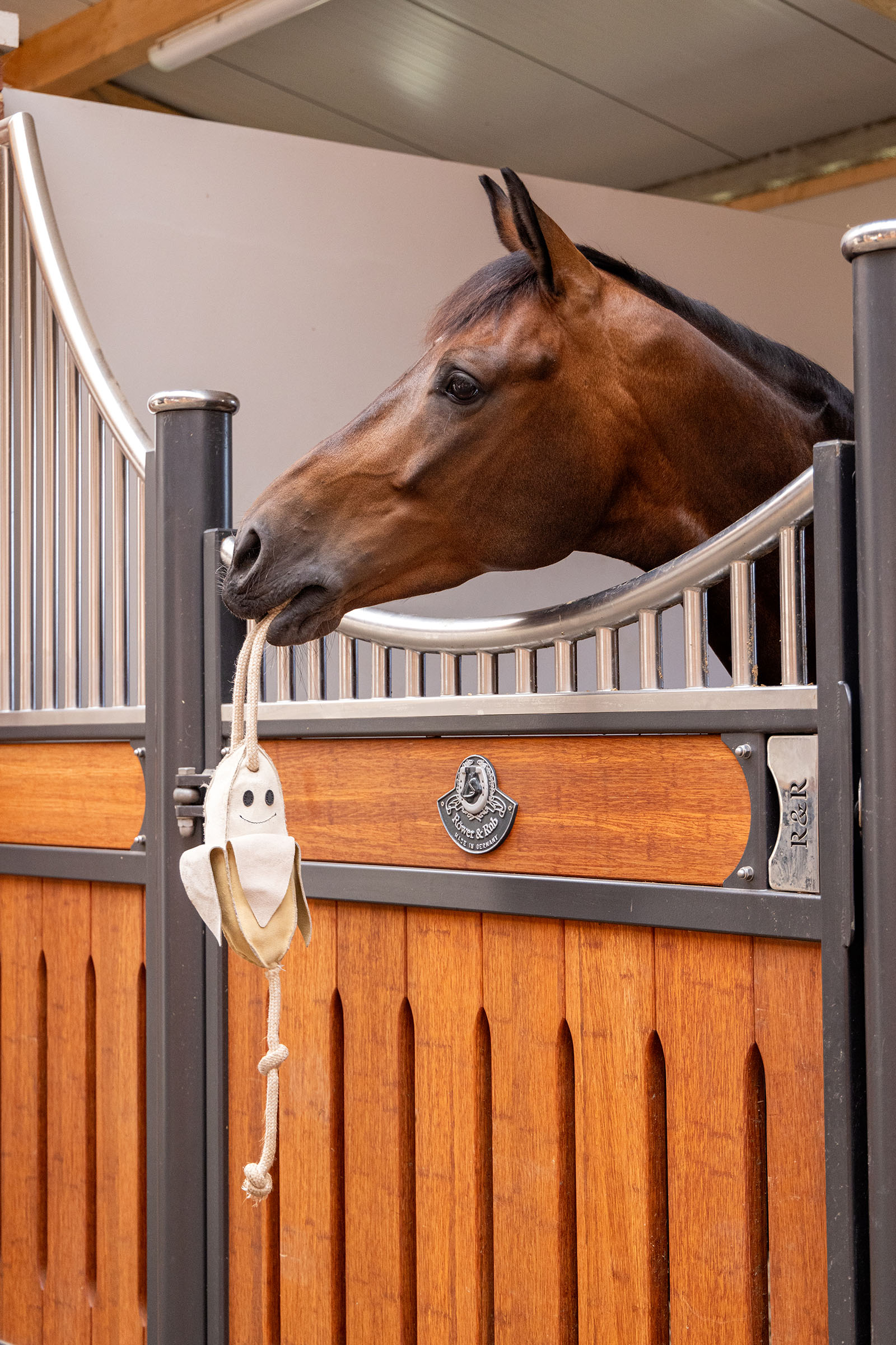 LeMieux Jouet pour cheval