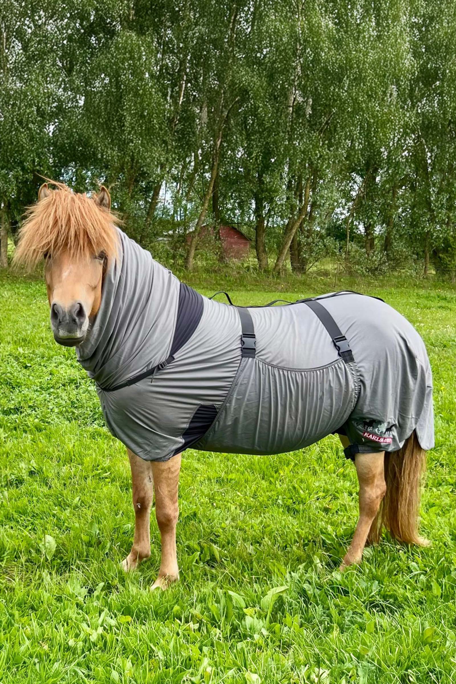 Karlslund Matti Couverture anti-ecz&eacute;ma avec encolure fixe, 0g