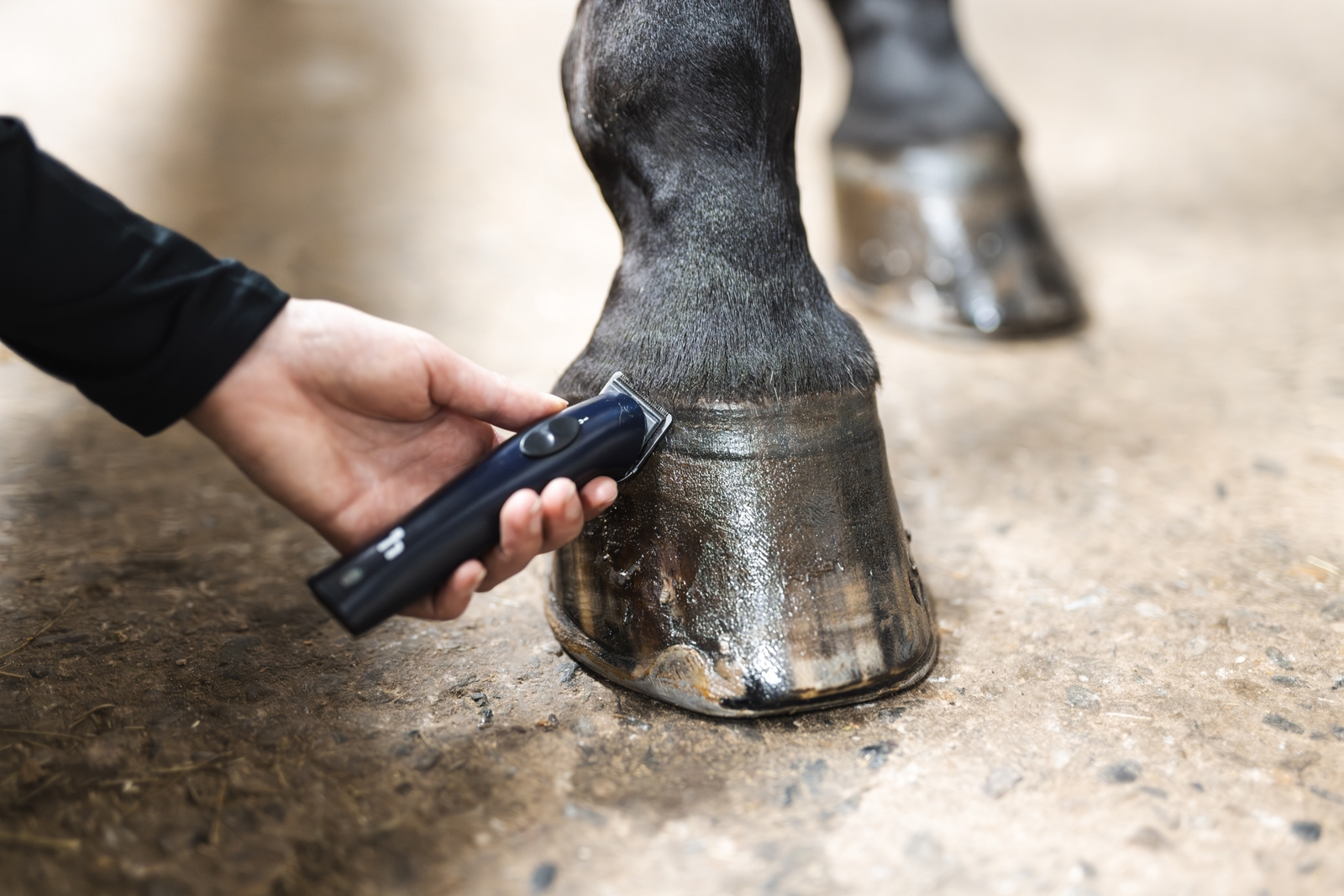 Horze tondeuse de finition, ultra légère