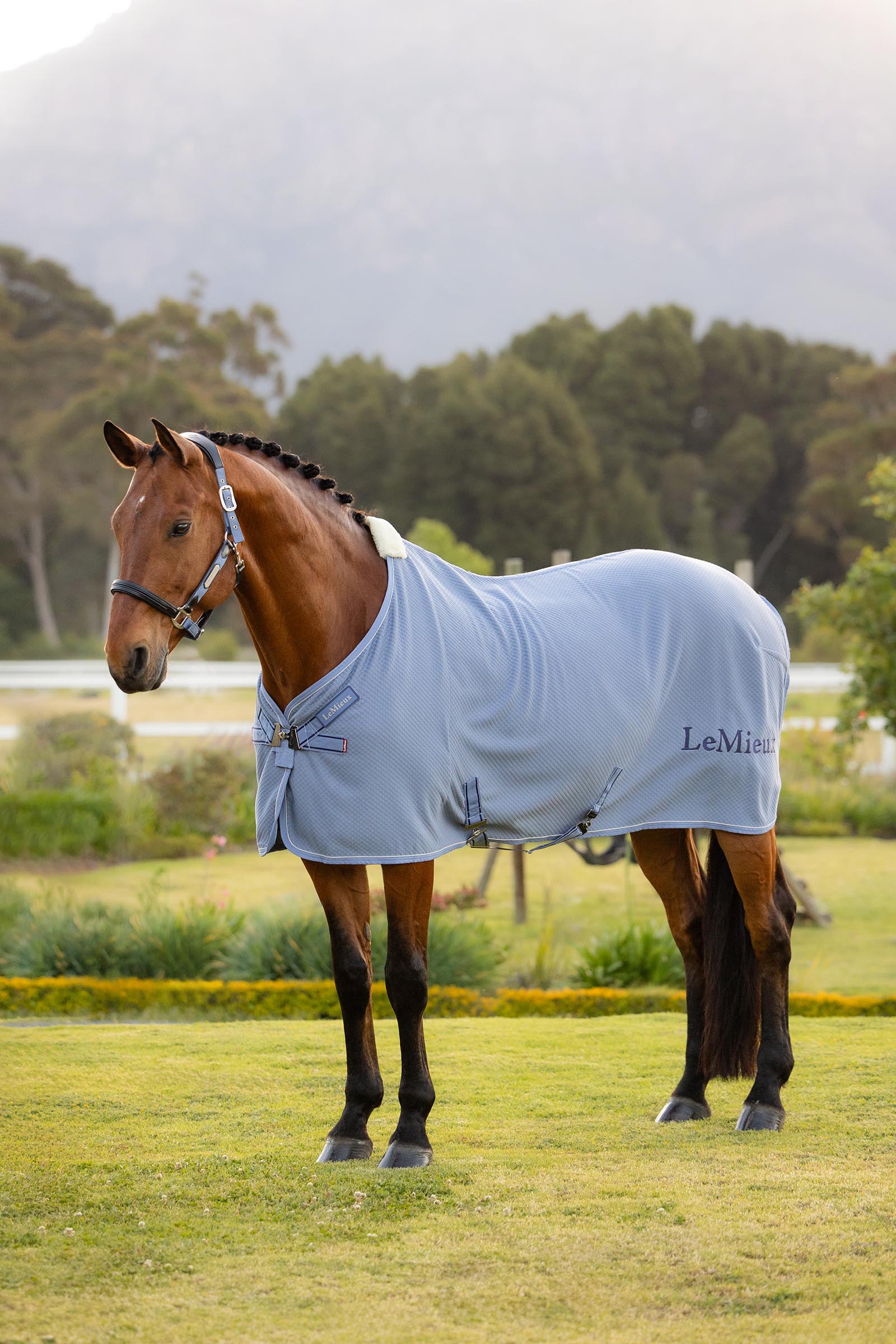 Powder Blue LeMieux Kudos couverture s&eacute;chante en bambou