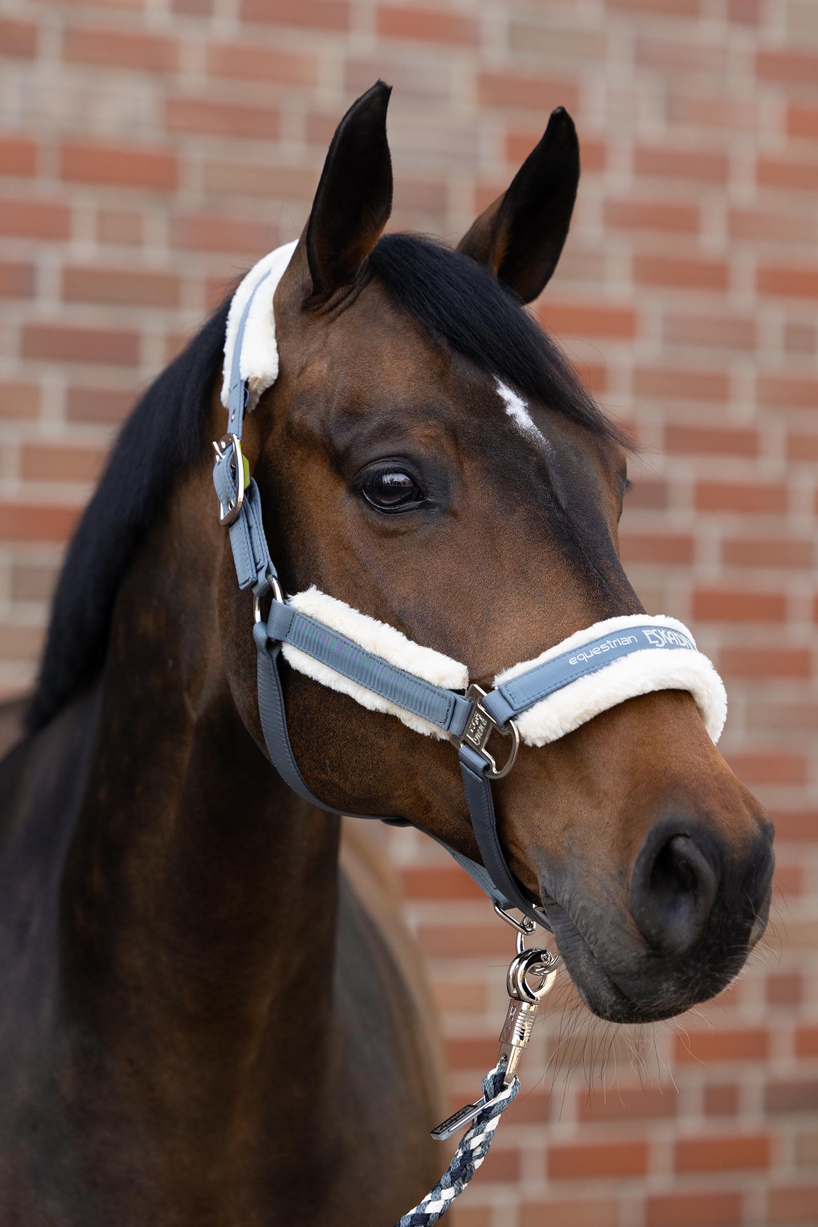 Eskadron Faux Fur Halter Double Pin