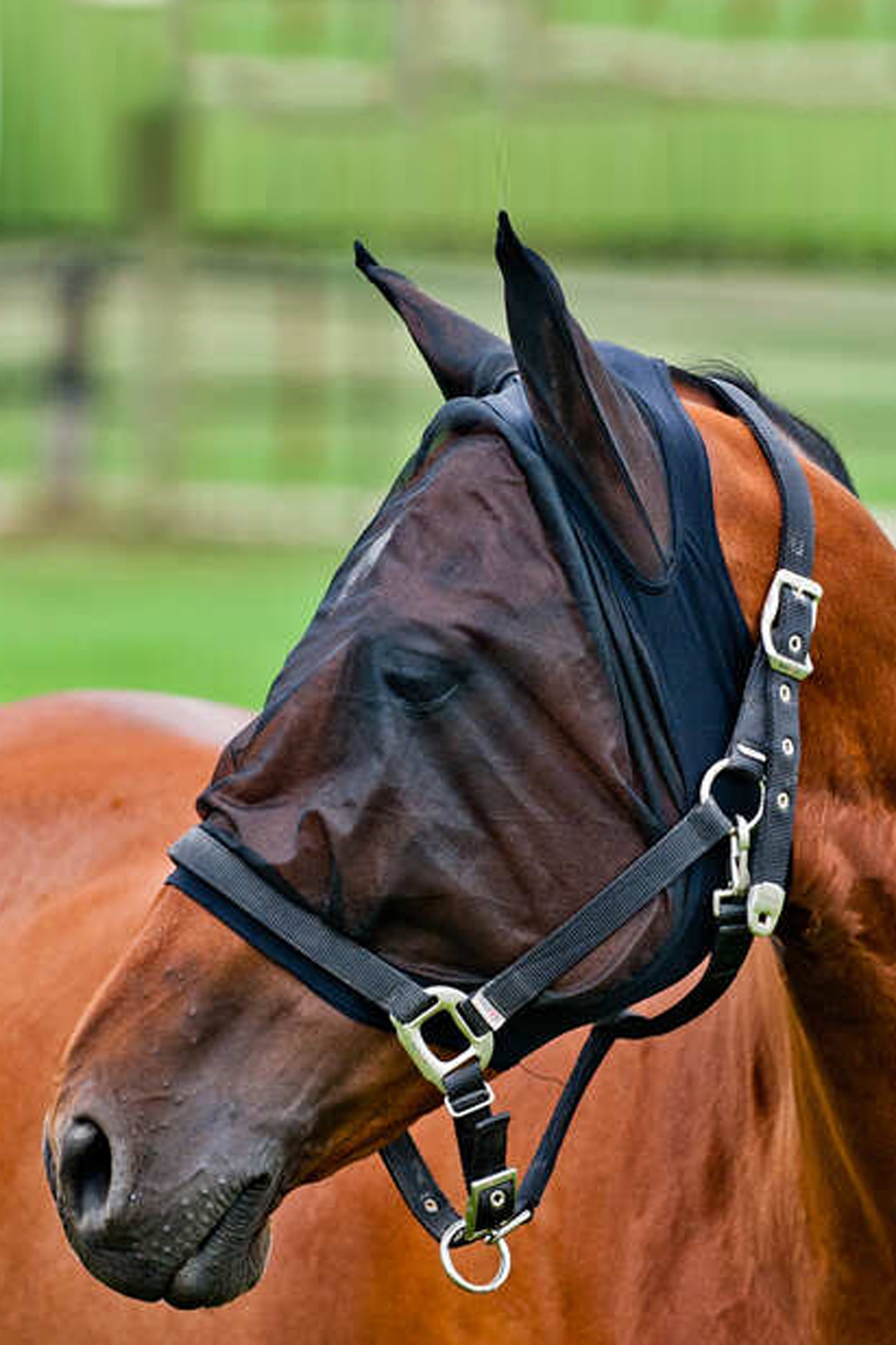 Bonnet masque anti-mouches Horze