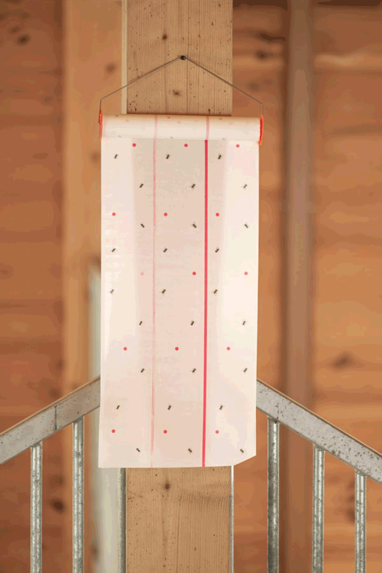 Pi&egrave;ge &agrave; mouches Kerbl Cit MuscaRoll, 10 m