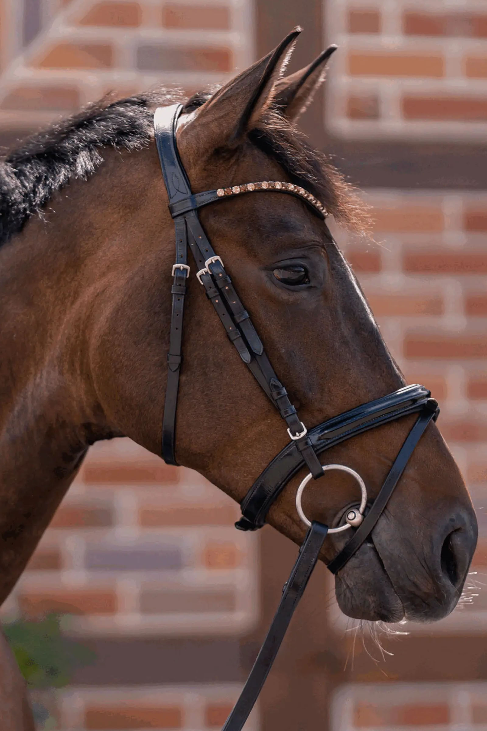 Sprenger Novocontact mors à anneaux libres 14mm simple brisure Sensogan avec anneaux en inox de 70mm