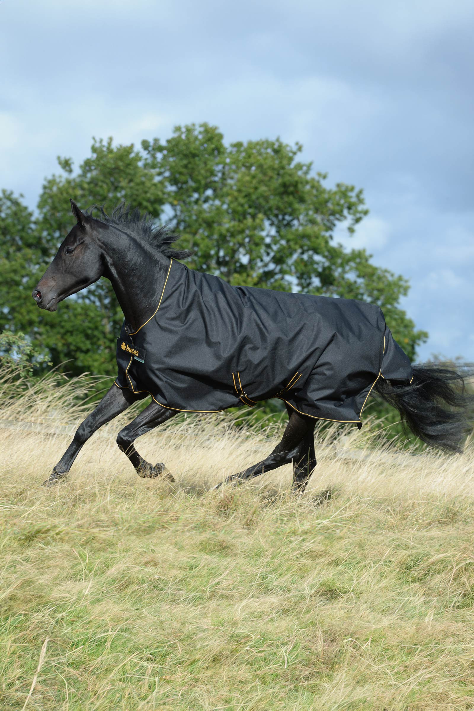 Bucas Irish couverture d'extérieur avec encolure haute, 50g