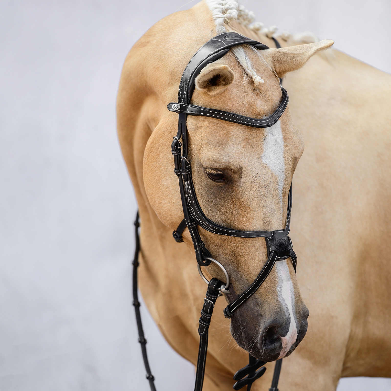 Filet Mexicain PS de Suède Athènes