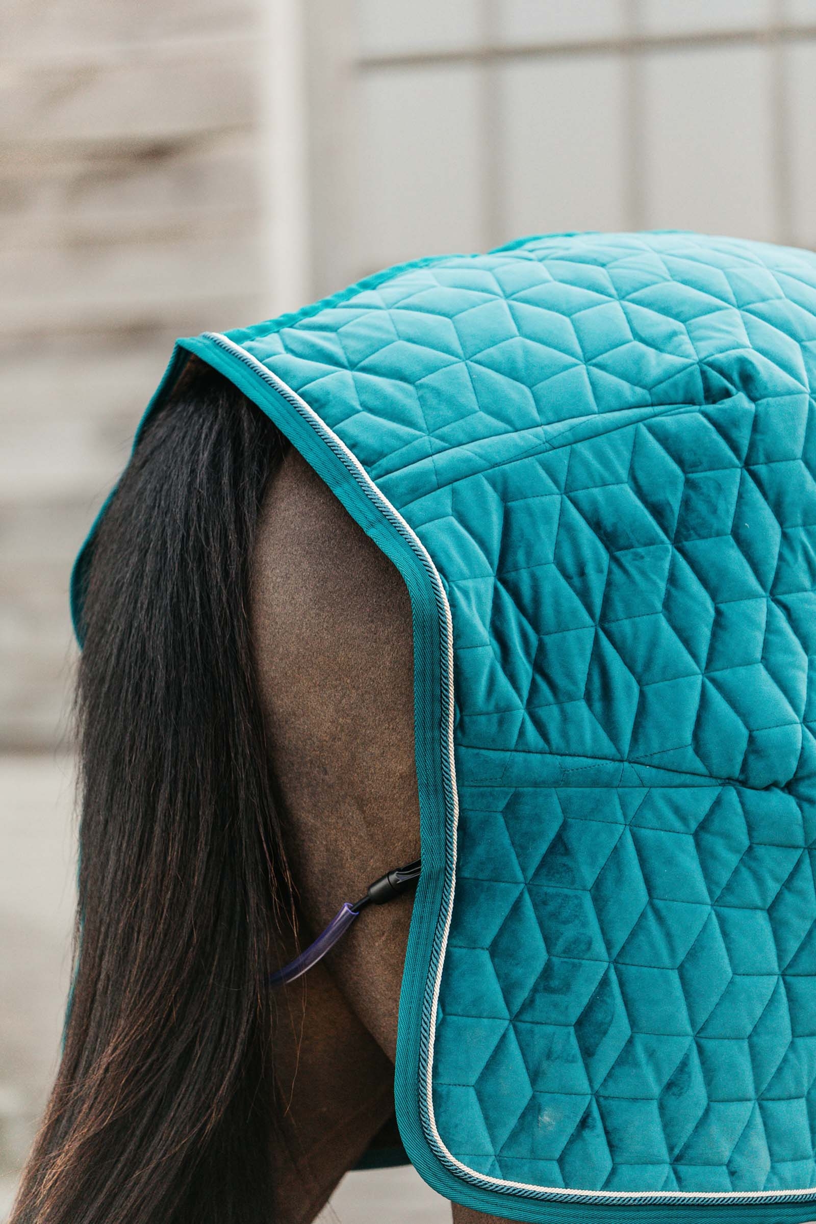 Kentucky Horsewear Couverture de présentation Velvet, 160g