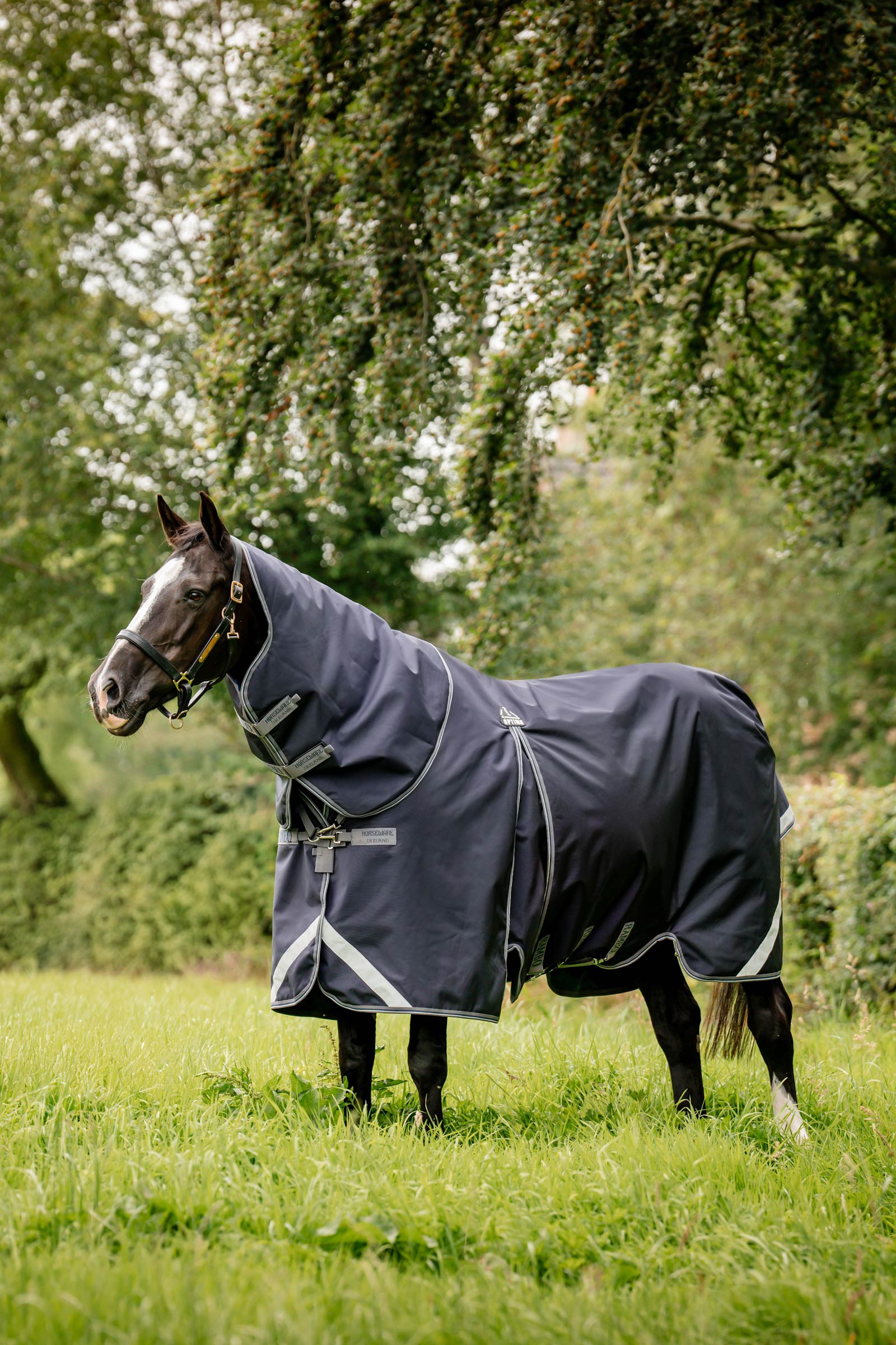 Horseware Rambo Optimo Plus Budle Couverture de P&acirc;turage (avec 200g Liner)