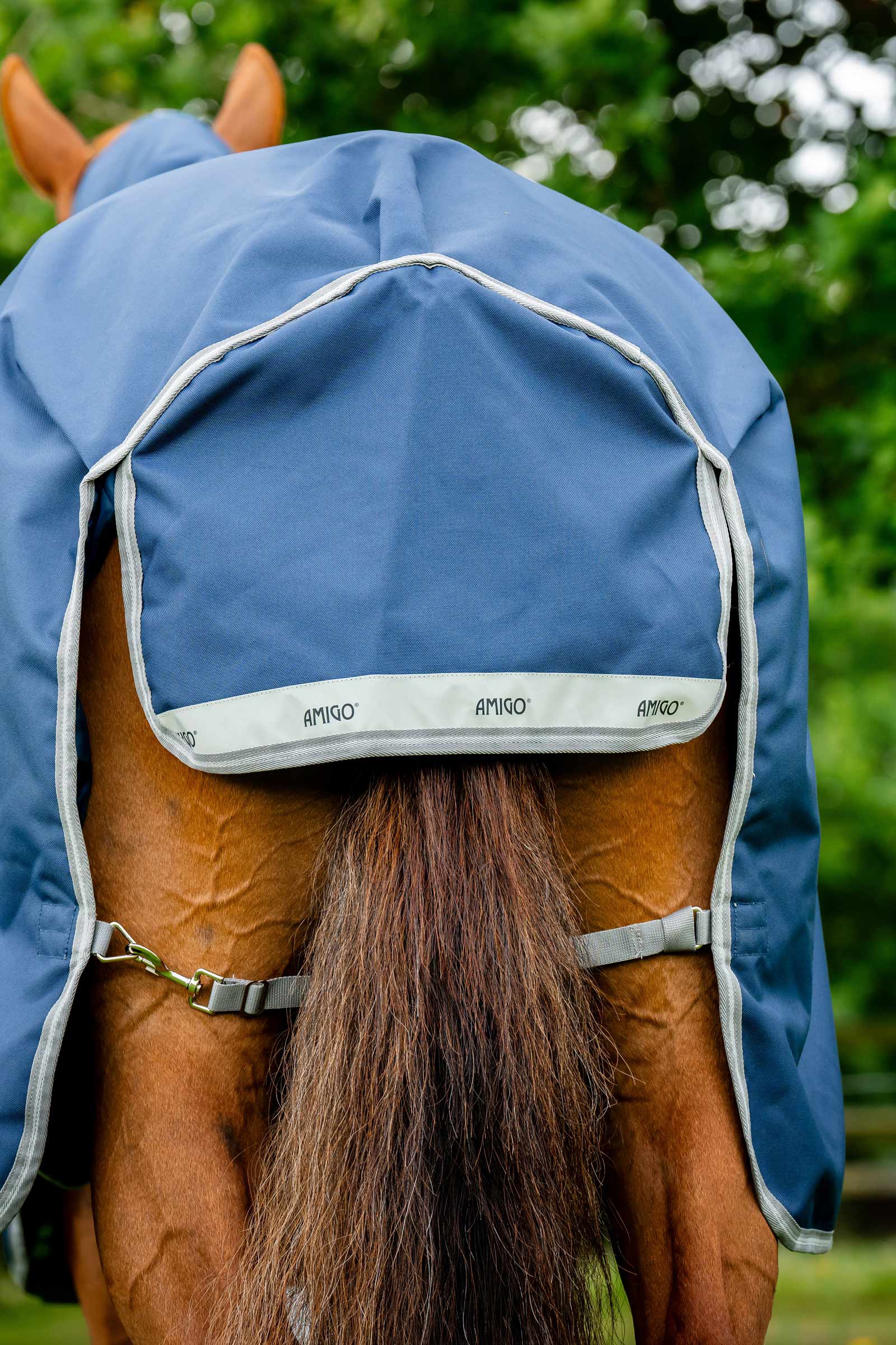 Horseware Amigo Bravo 12 Plus couverture d'extérieur, 250 g