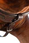 Collier Micklem Rambo Horseware