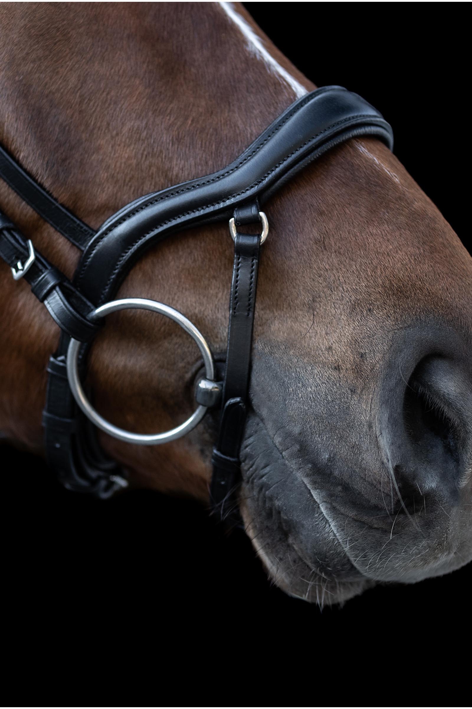 Waldhausen X-Line New Shape II Licol