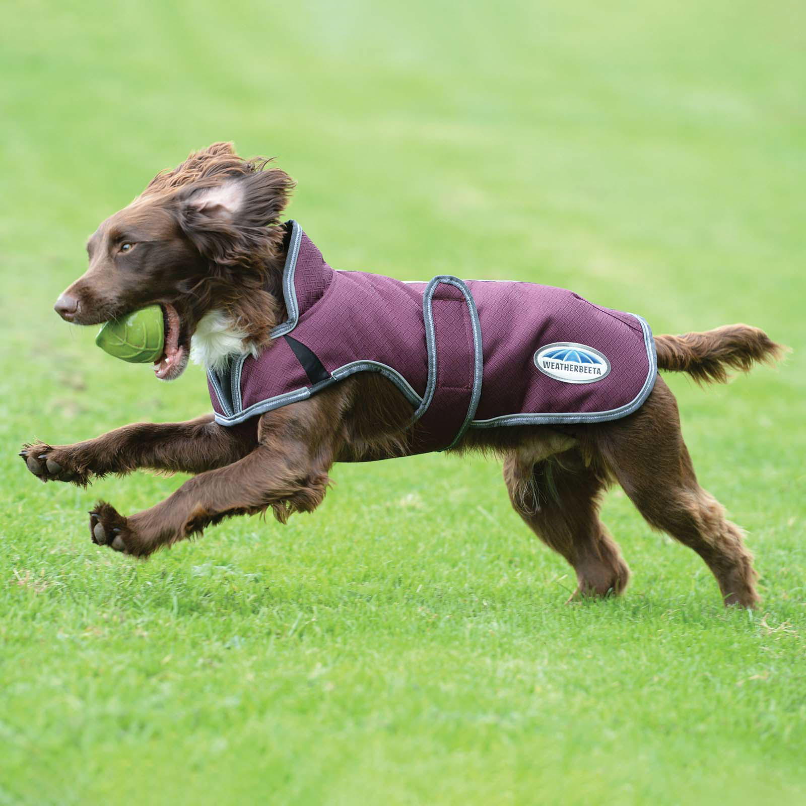 Manteau pour chien Parka Deluxe Weatherbeeta Comfitec Premier Free 220 g