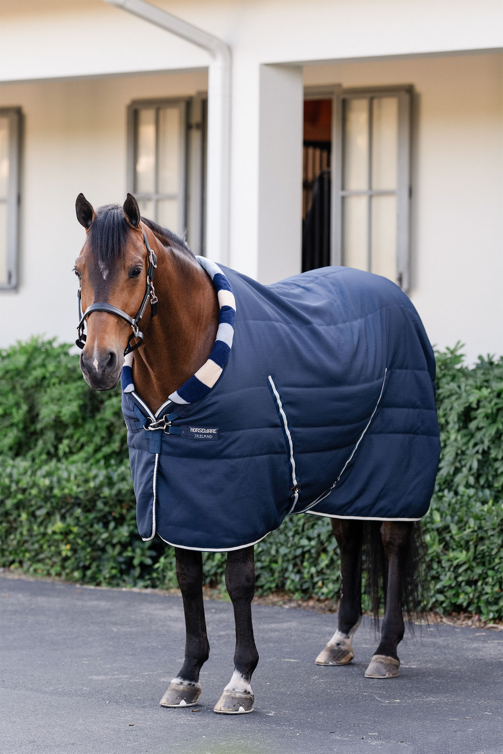 Horseware Newmarket Cosy Couverture écurie 100g