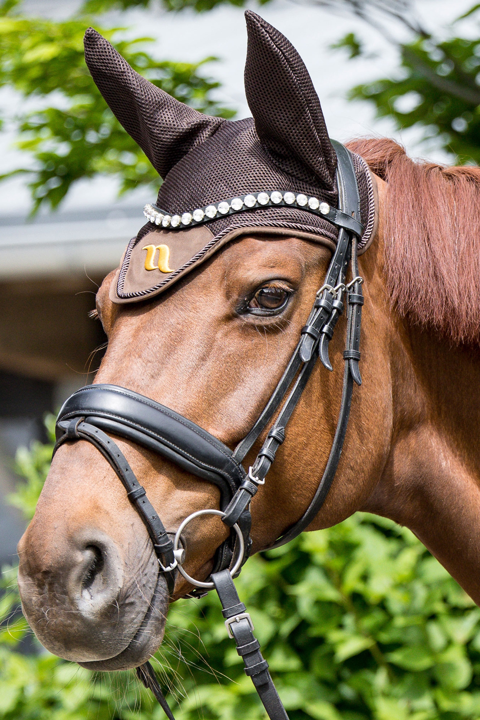 Bonnet anti-mouches Flux d'Air Back on Track