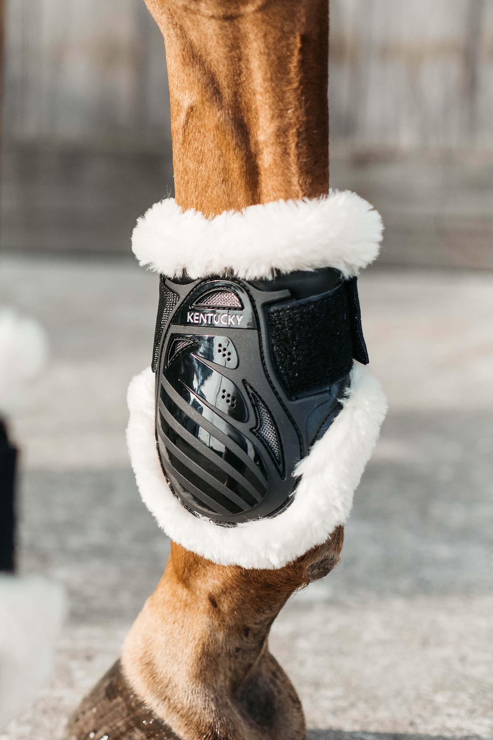 Kentucky Horsewear Protège-boulet jeunes chevaux mouton vegan