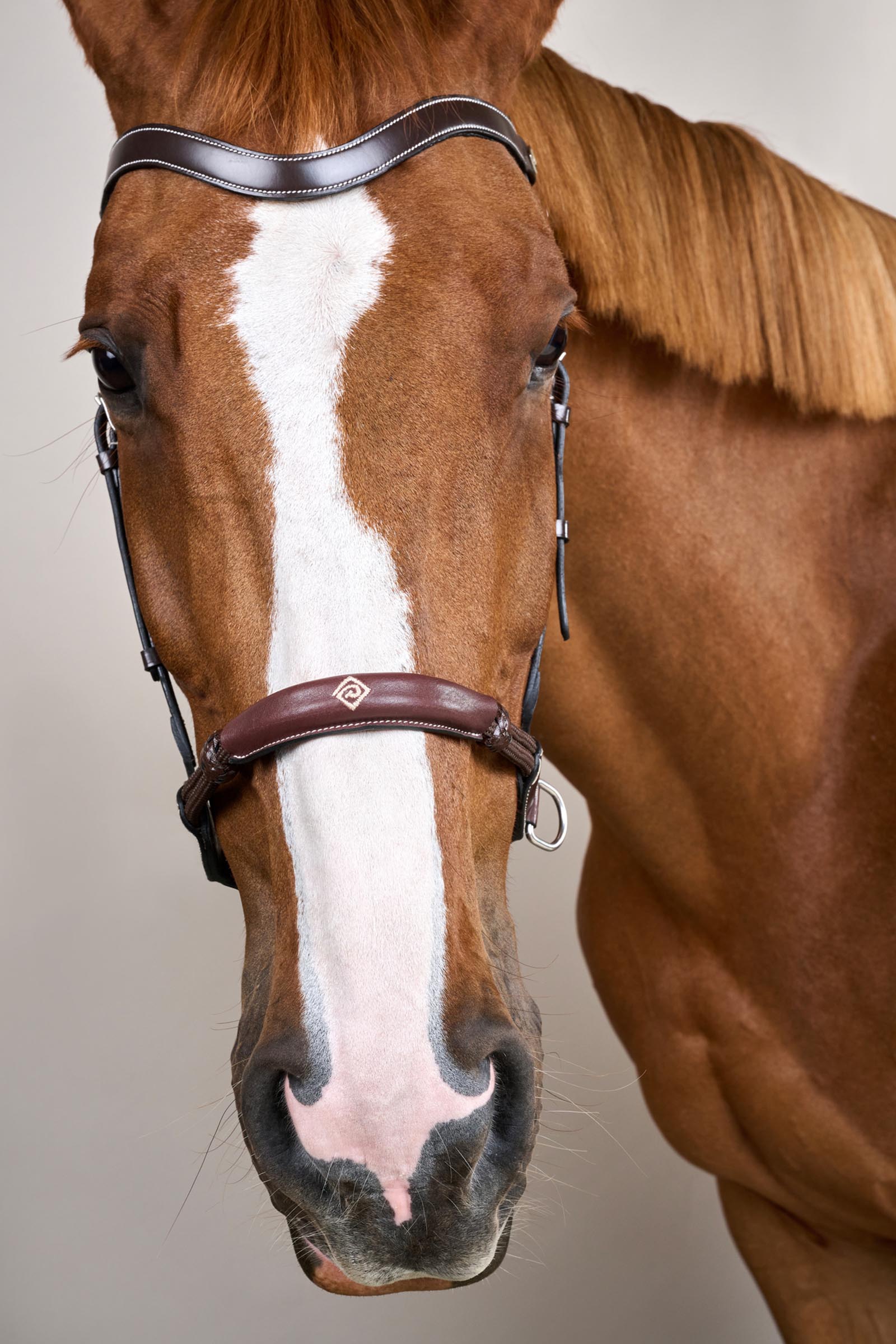 Dy'on Working bride sans mors  