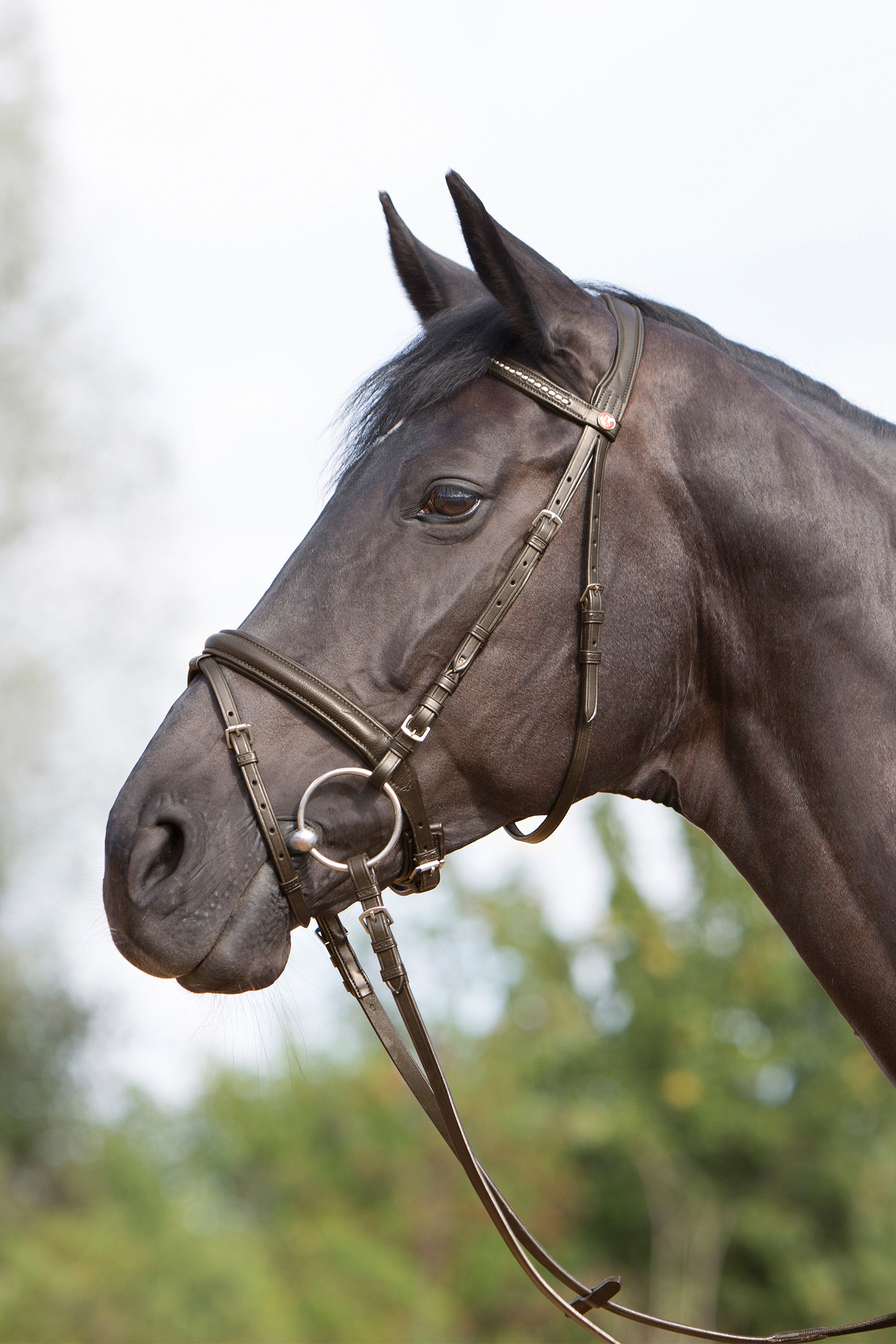 Brown/Brown Kieffer Ultrasoft® Bridle