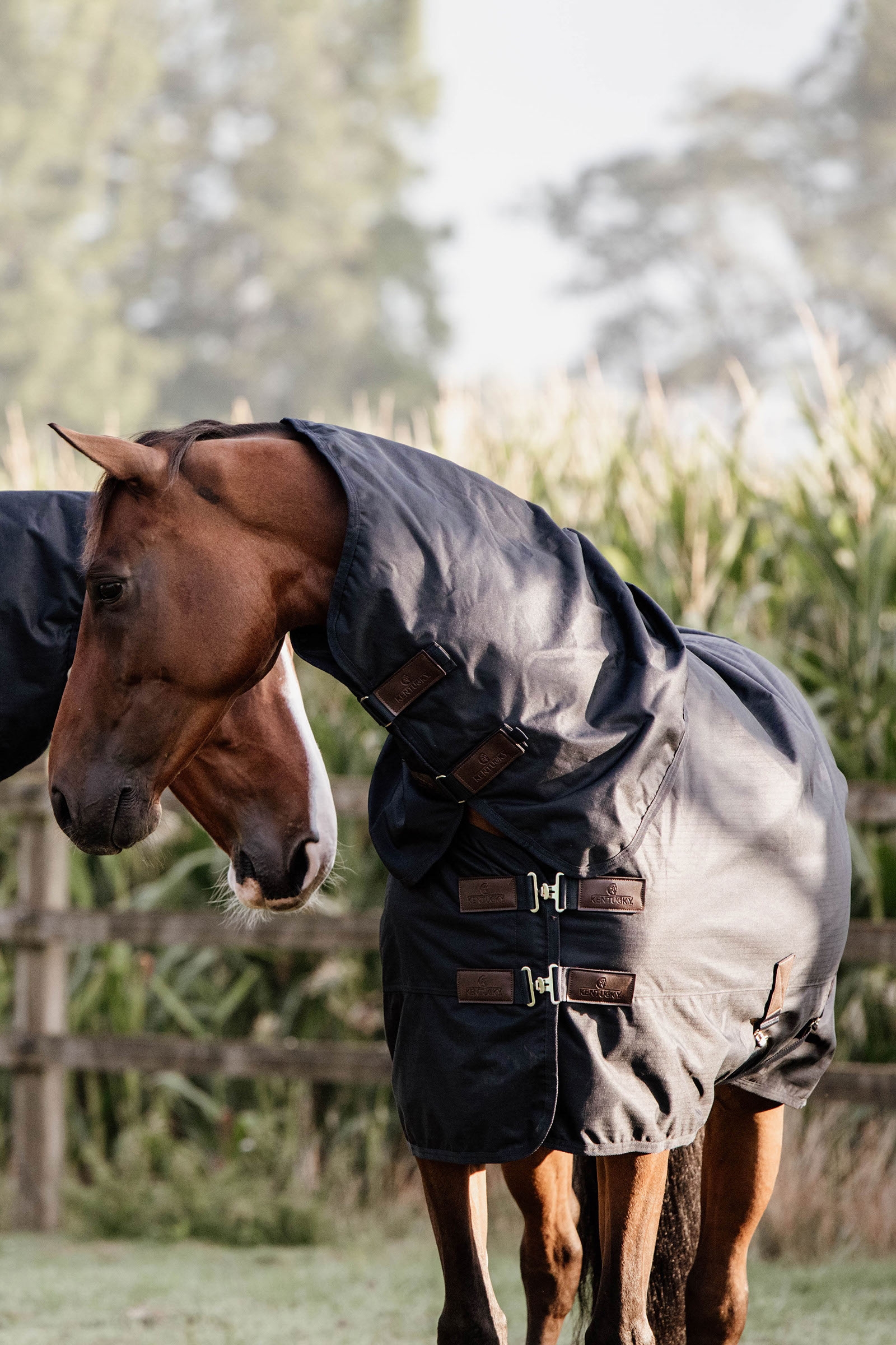 Couverture d'extérieur Tout Temps imperméable Kentucky Horsewear Classic, 150 g