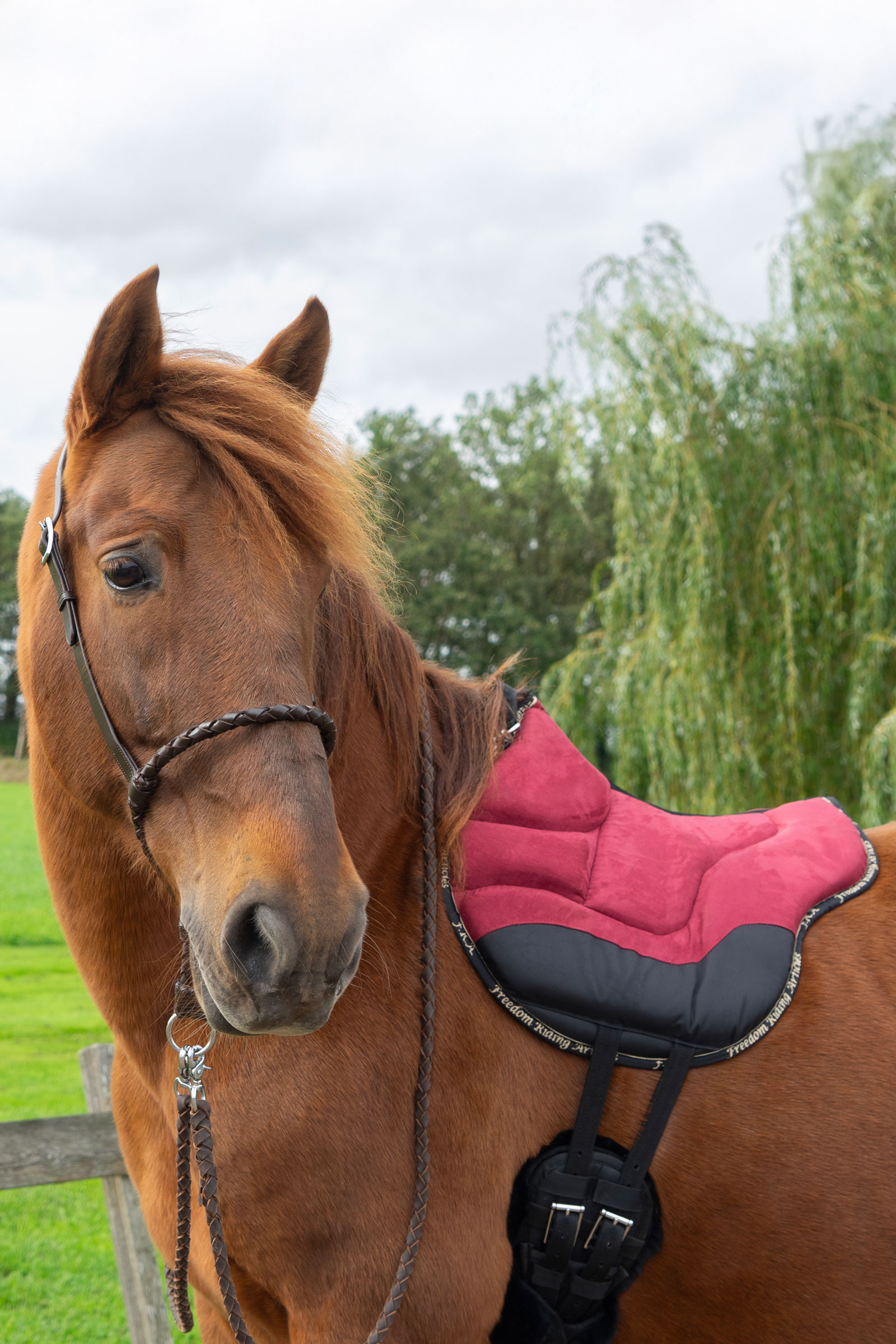 F.R.A. Freedom Riding Articles Tapis de monte Dardo basique  