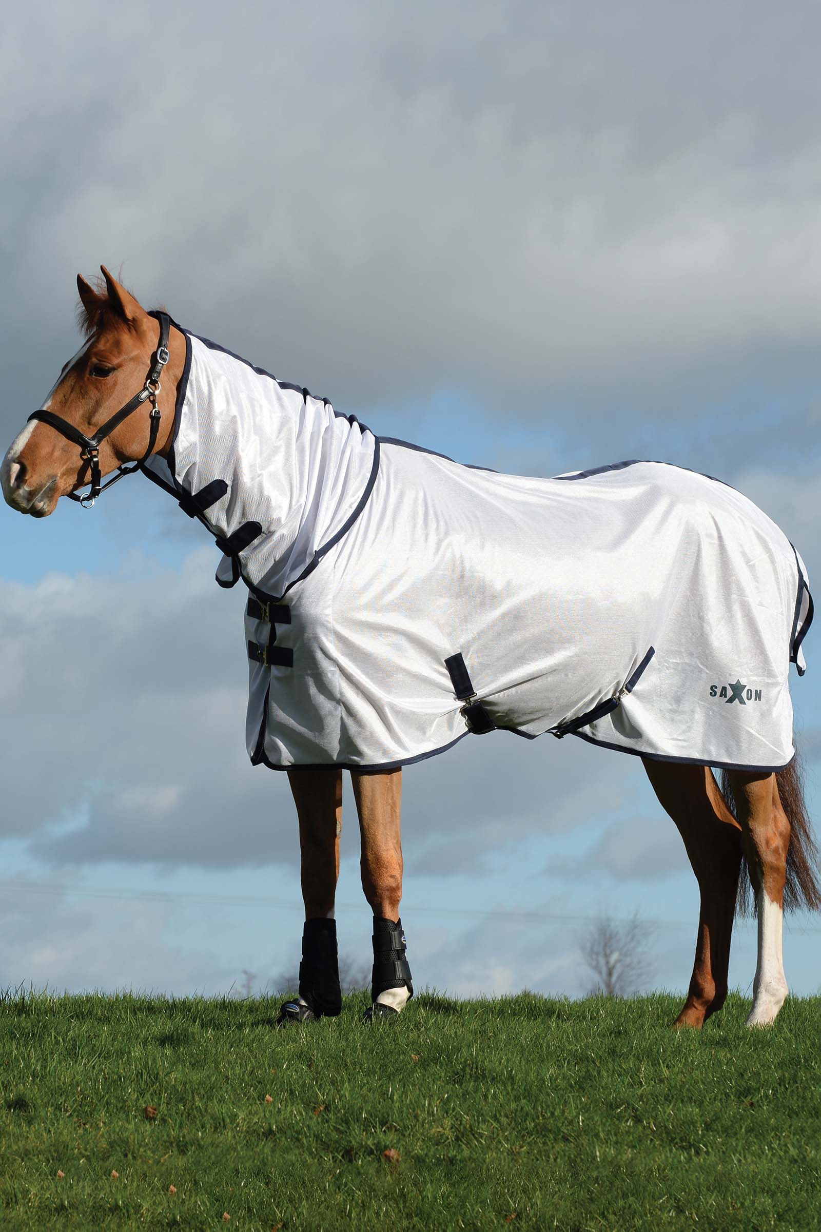 Couverture Saxon Mesh Combo avec couvre-encolure fixe