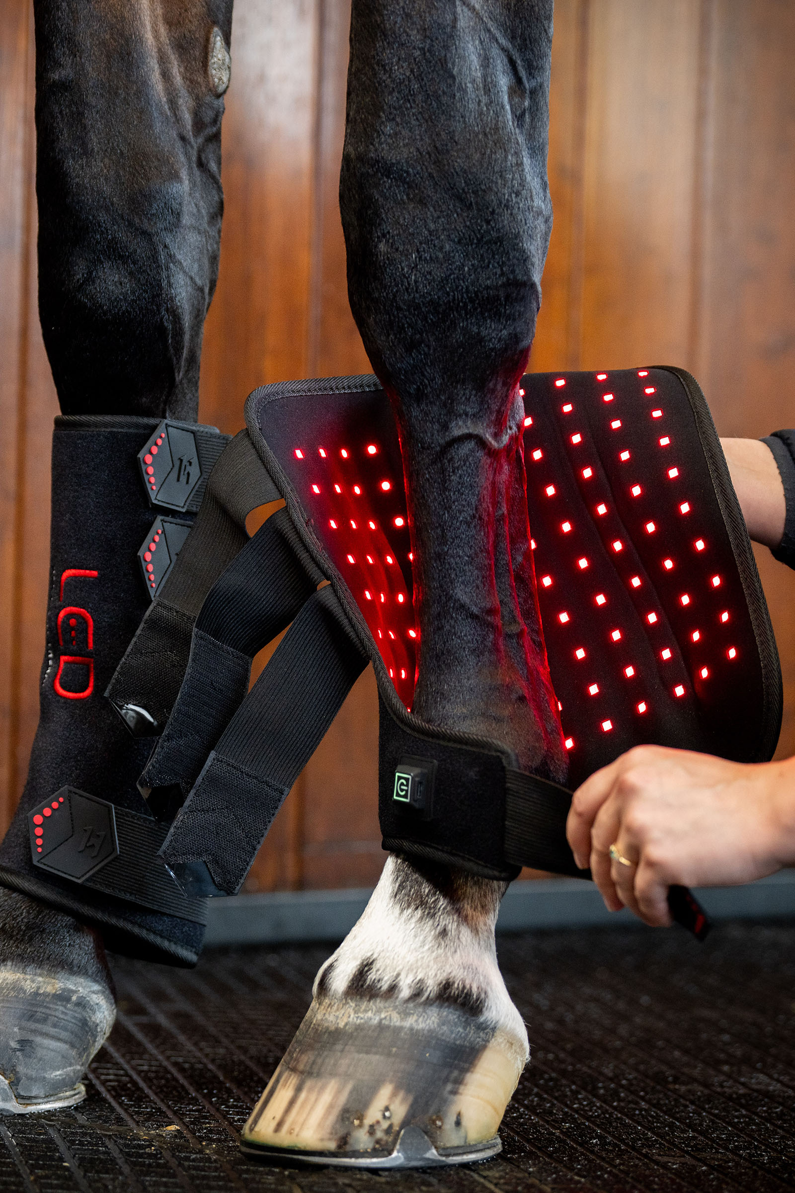 Horseware guêtre thérapeutique LED à lumière rouge (1 pce)