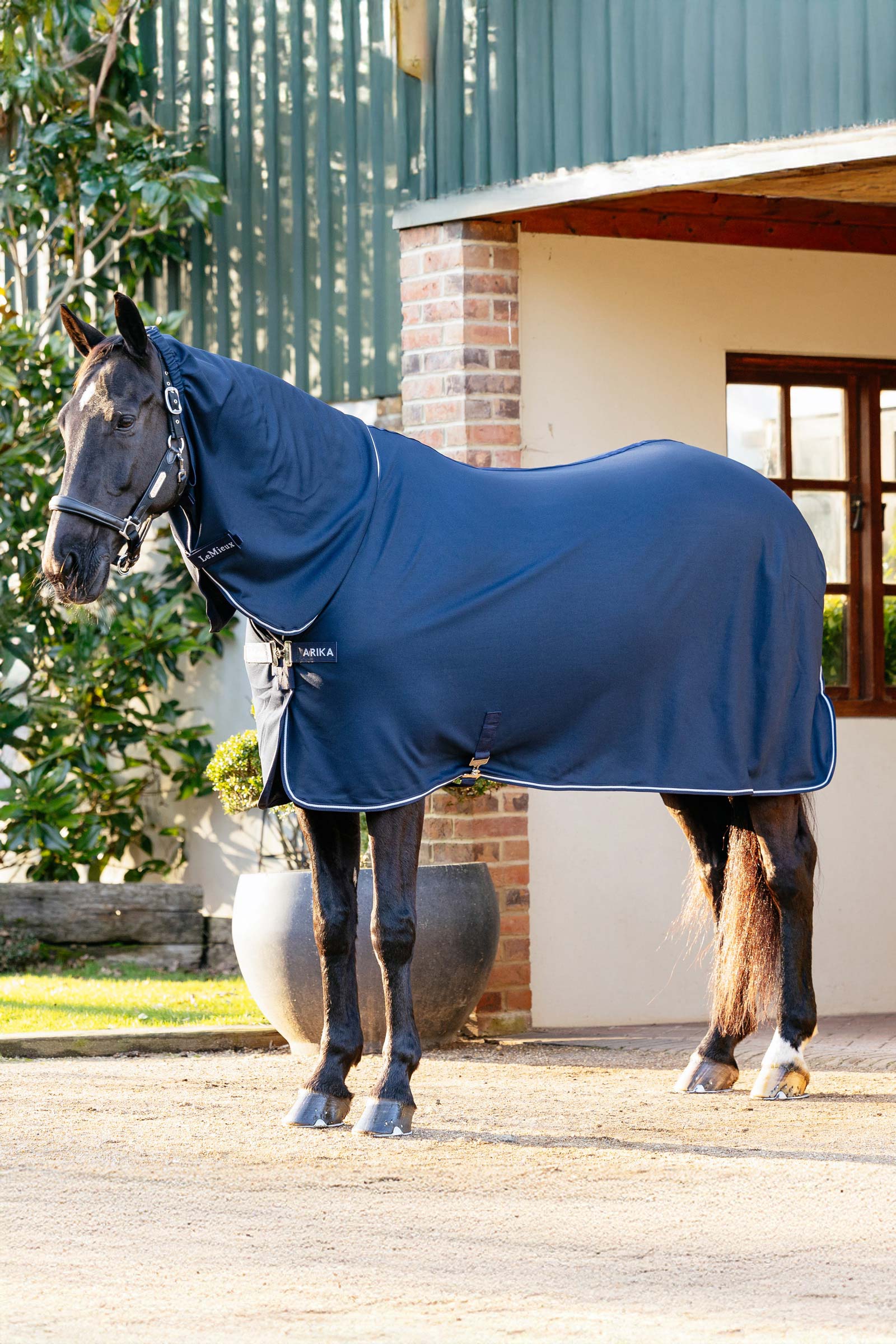 LeMieux Arika DryEase Chemise