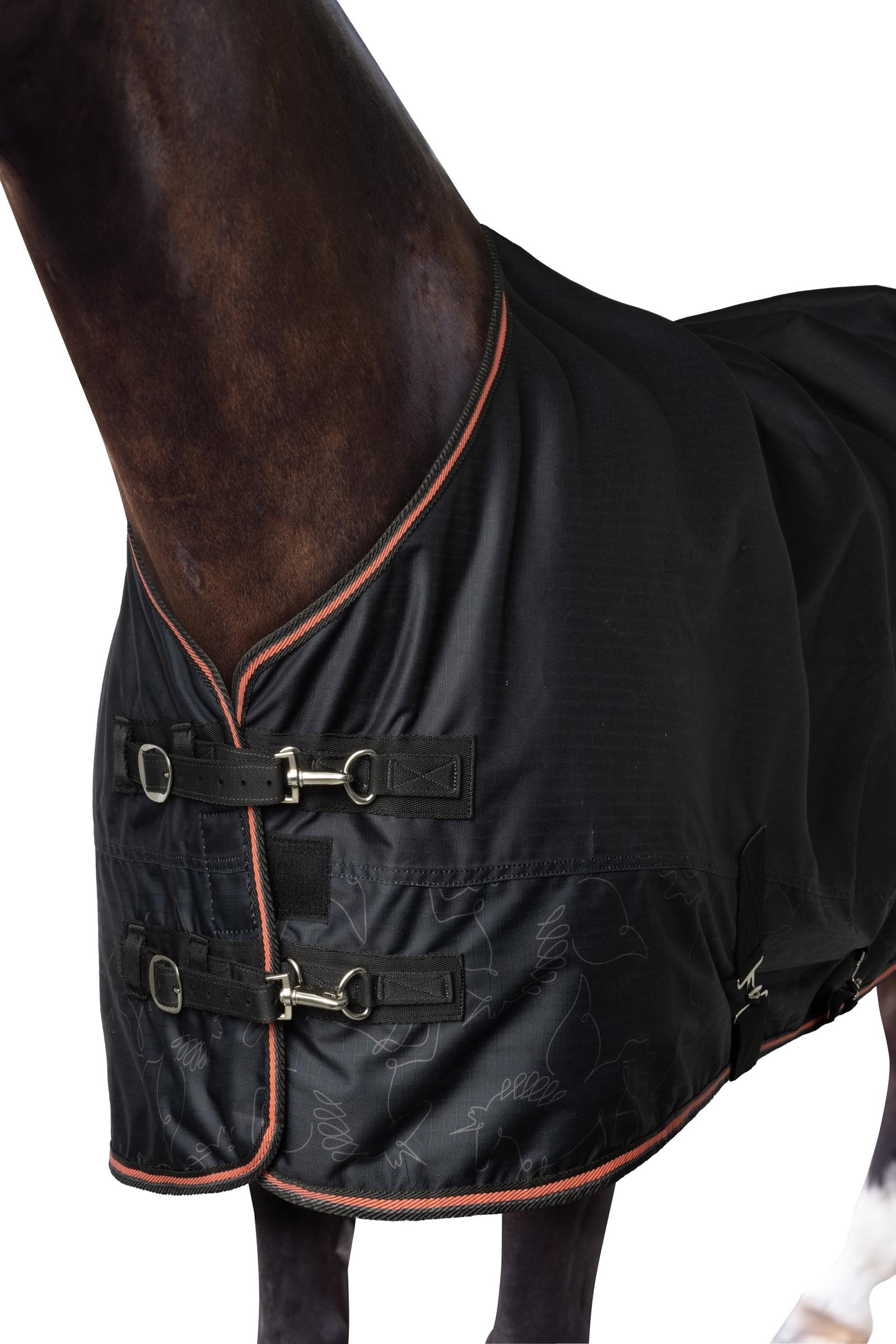 Couverture imperméable pour poney Horze Pegasus avec doublure en polaire