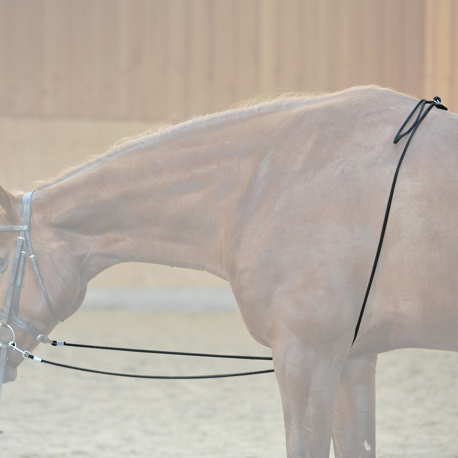 Enrênement de longe HO Kavalkade