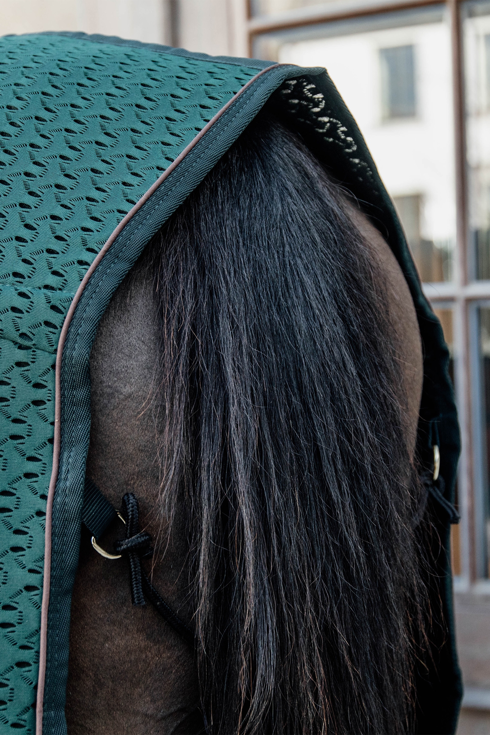 Couverture séchante en coton Kentucky Horsewear 4D