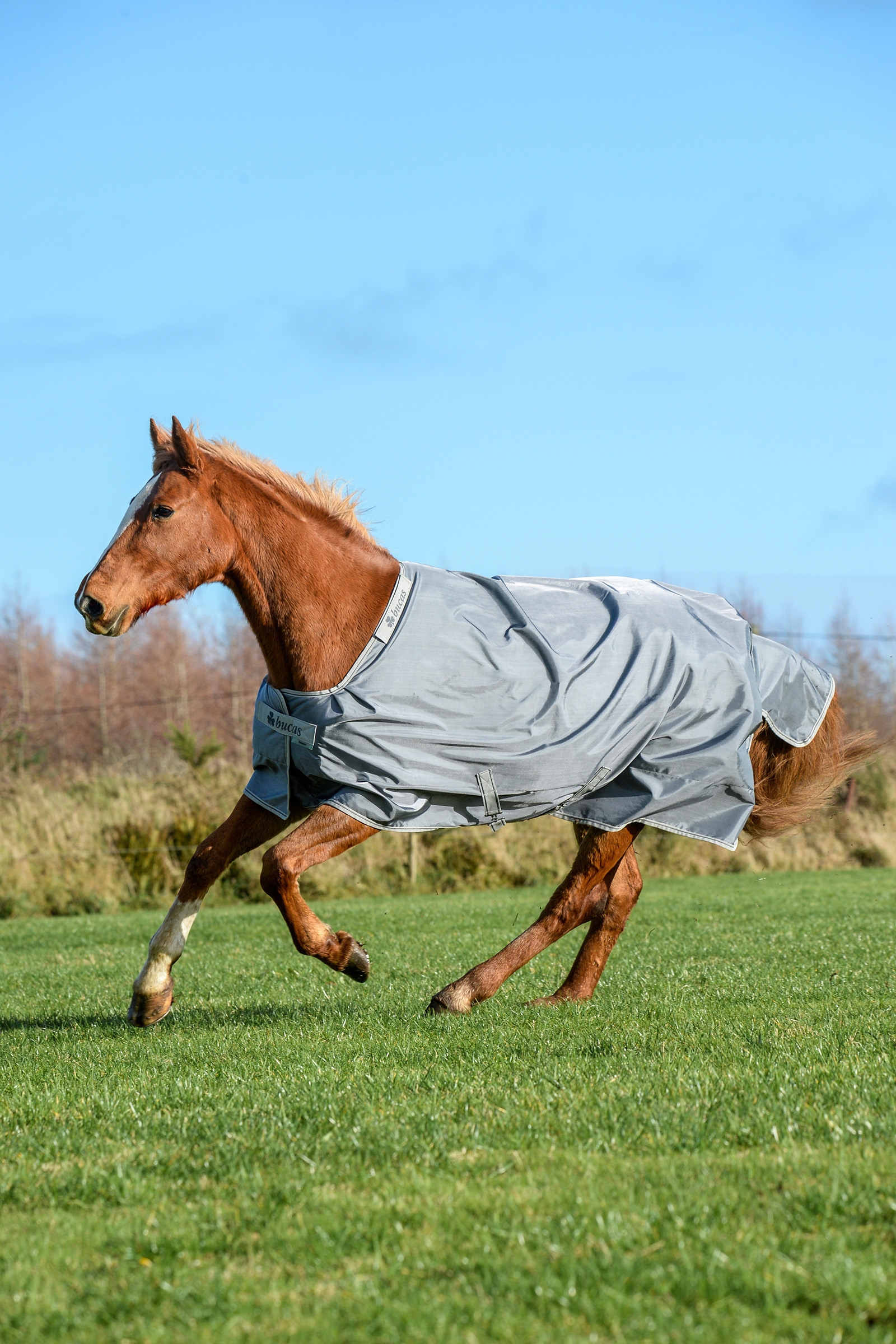 Iron Grey Couverture Bucas Smartex Extra 300 g