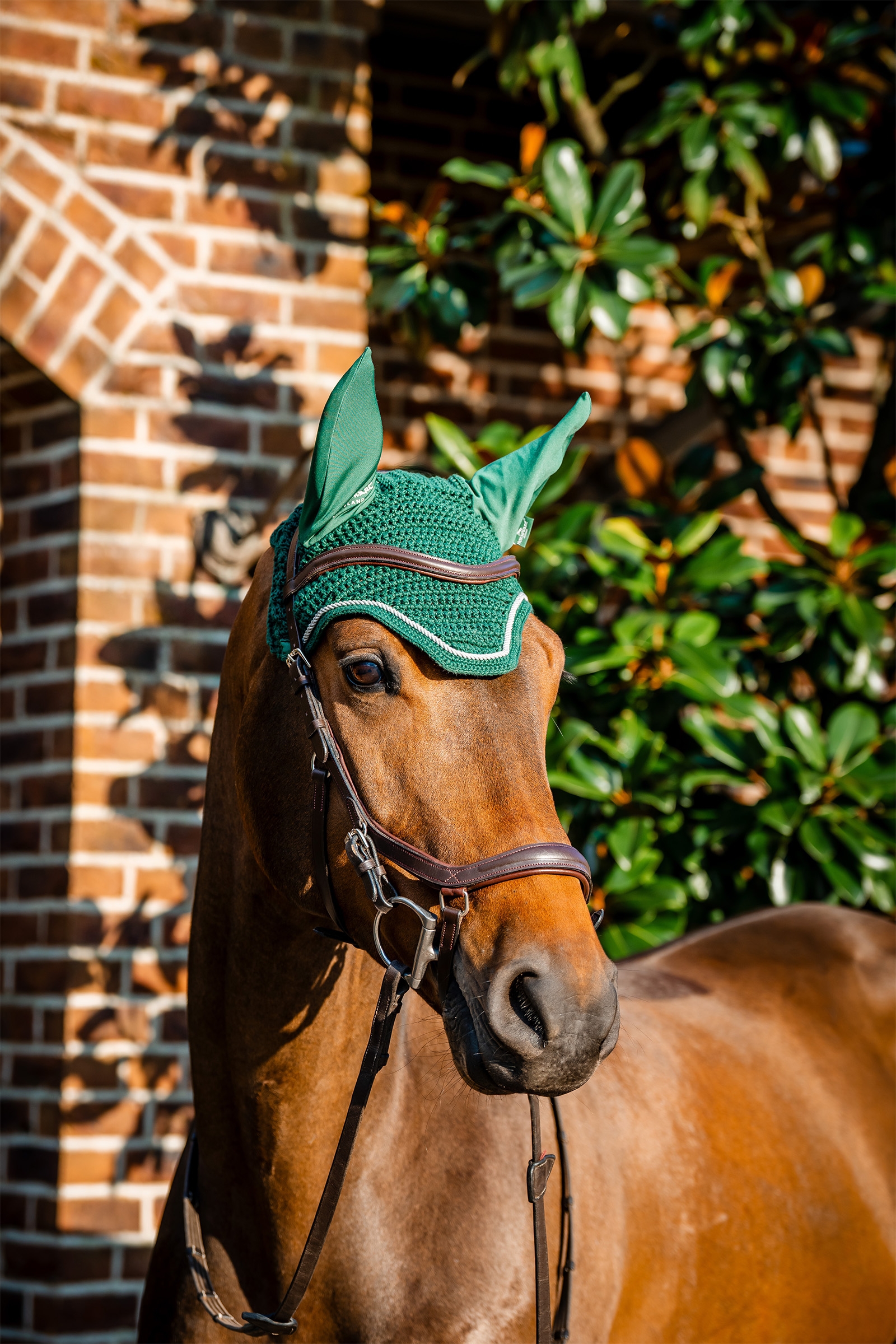 Hunter Green Bonnet anti-mouches Horseware Signature