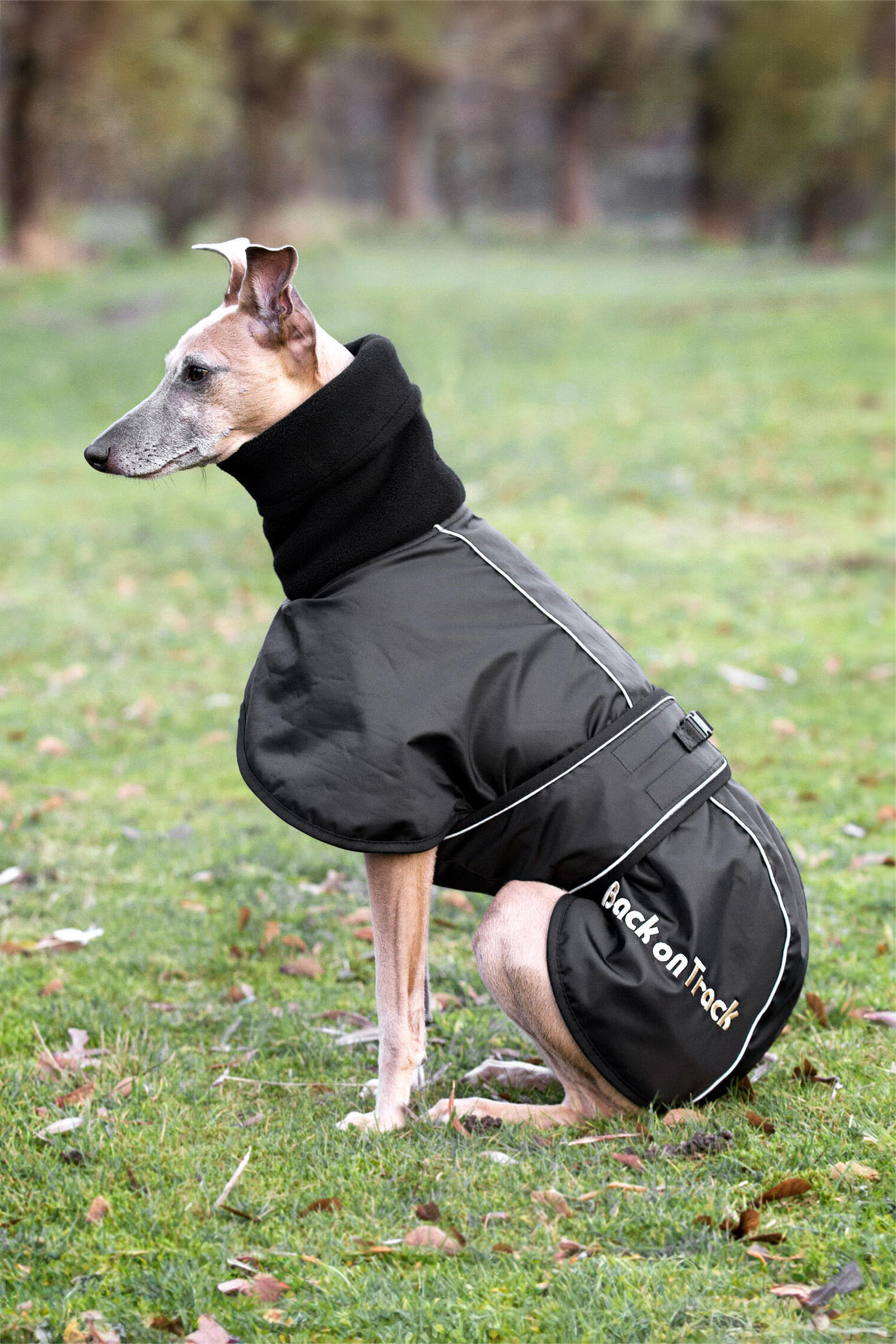 Manteau pour chien Back on Track Whippet, XS-M