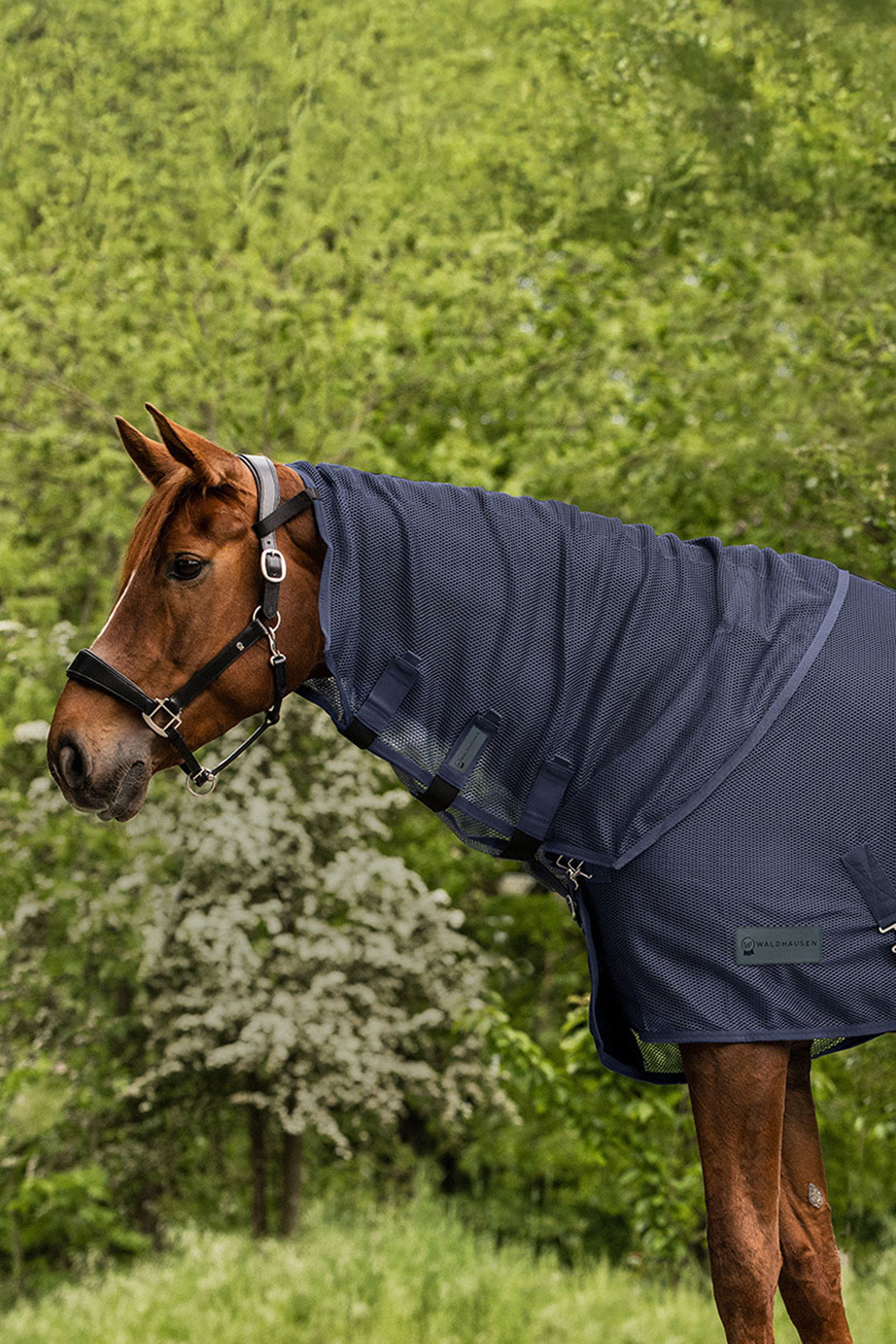 Waldhausen Comfort couvre-cou anti-mouches