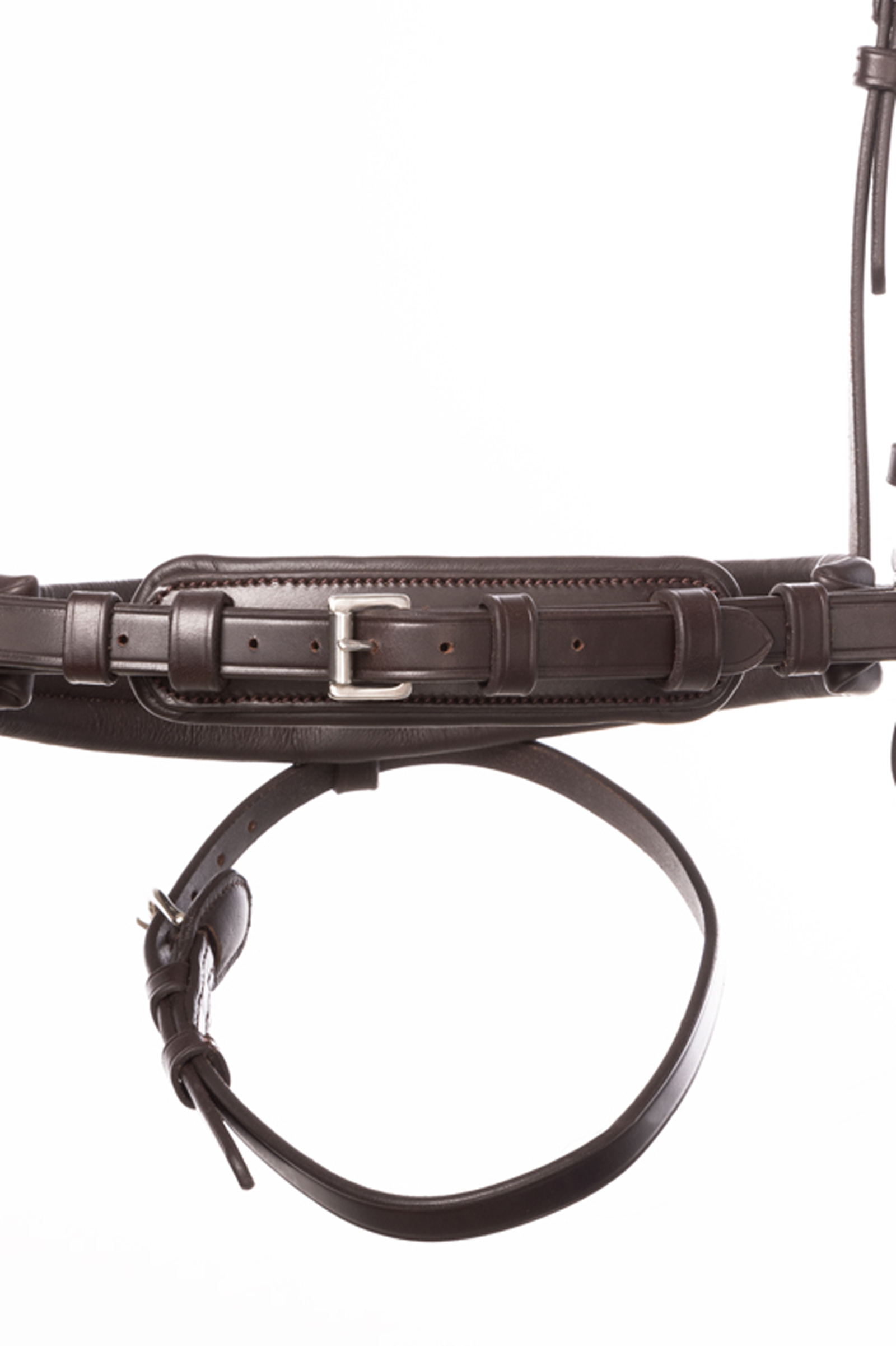 Kavalkade Zora Muserolle Crank