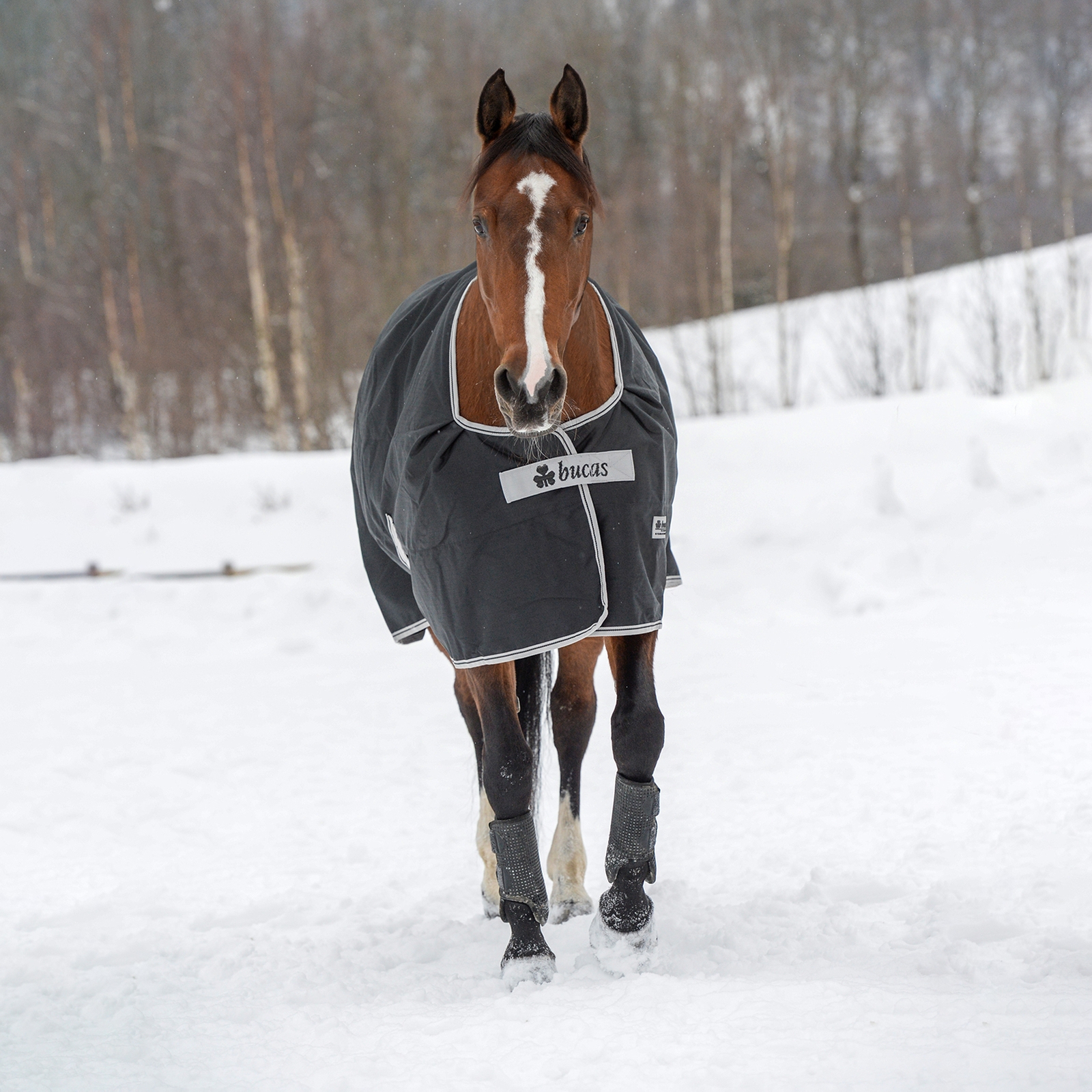 Couverture d'extérieur légère Bucas Anniversary Light SD, 150 g