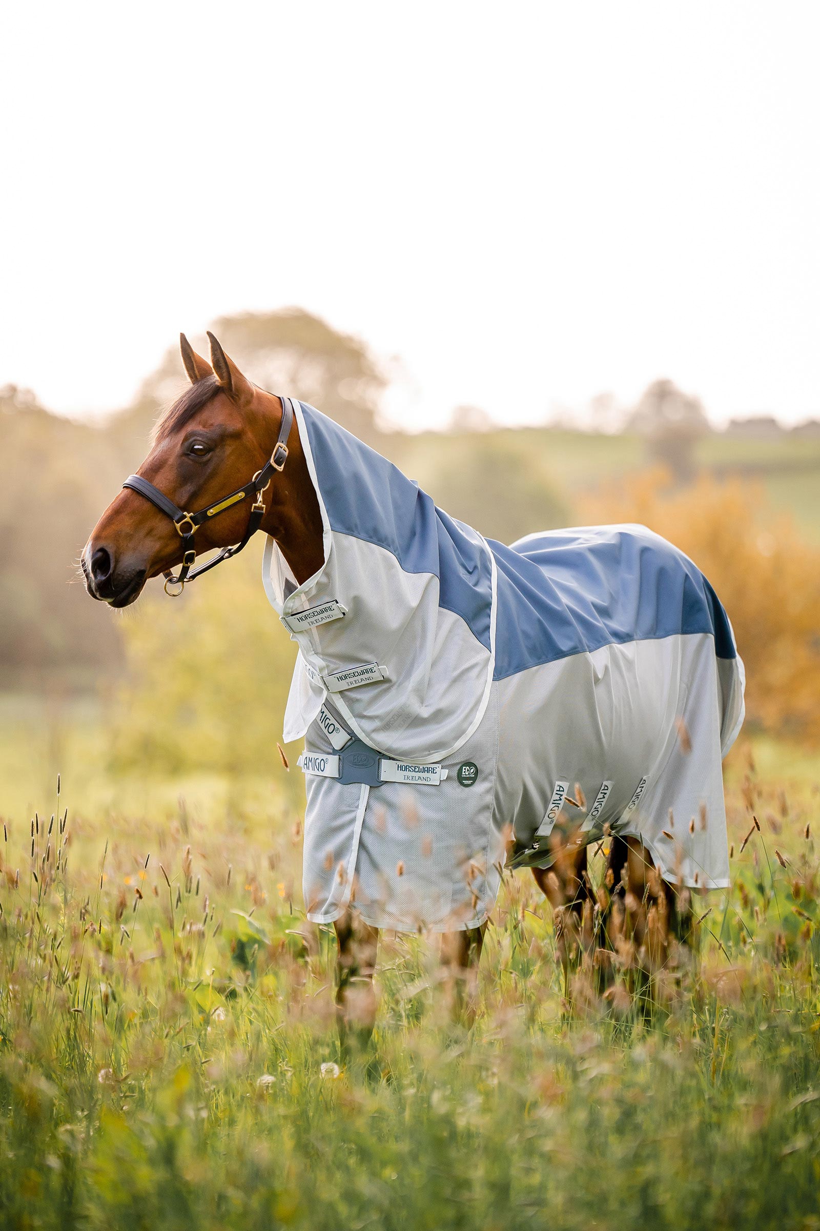 Horseware Amigo AmEco Combi couverture anti-mouches
