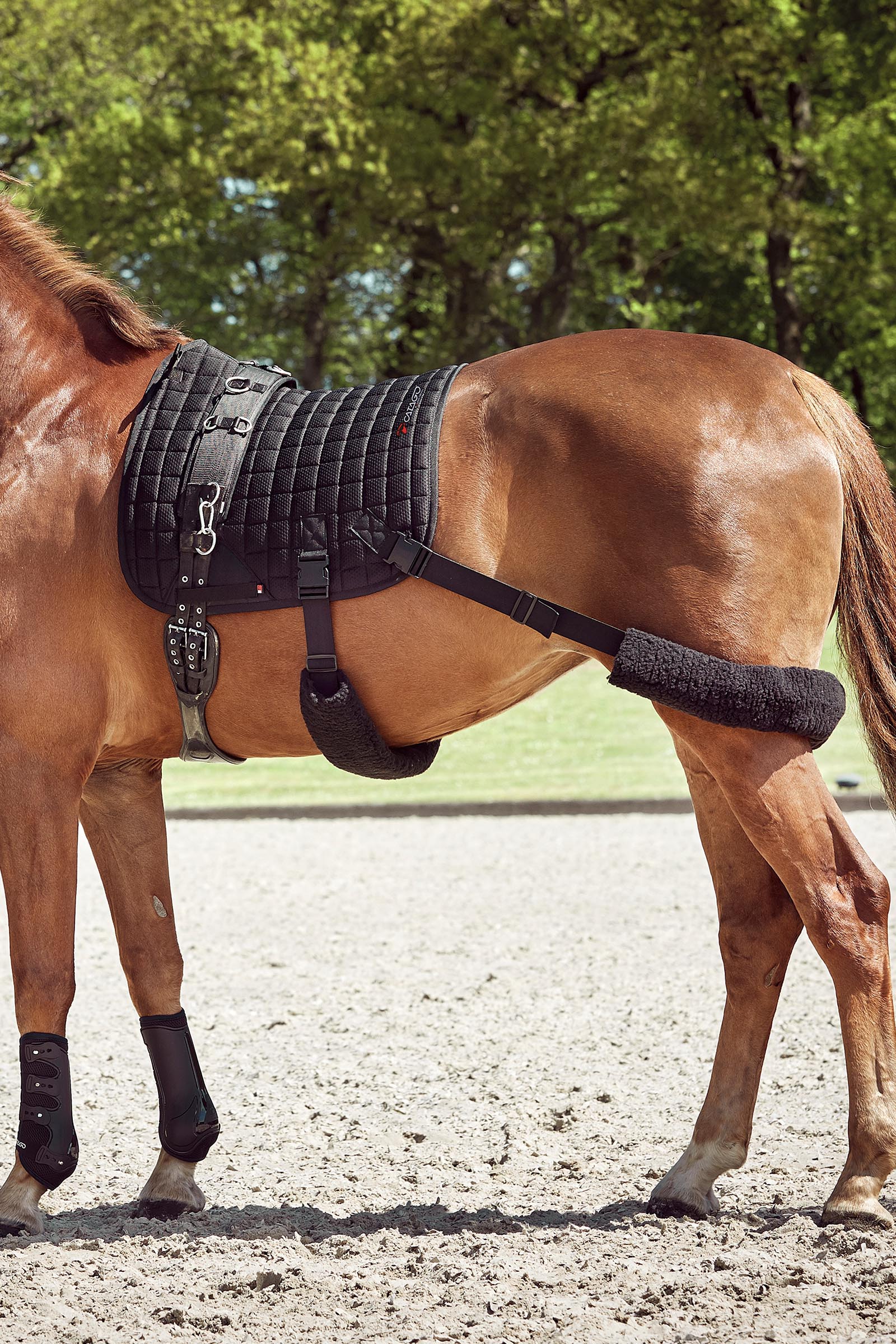 Catago FIR-Tech tapis de selle d'entraînement avec sangles élastiques