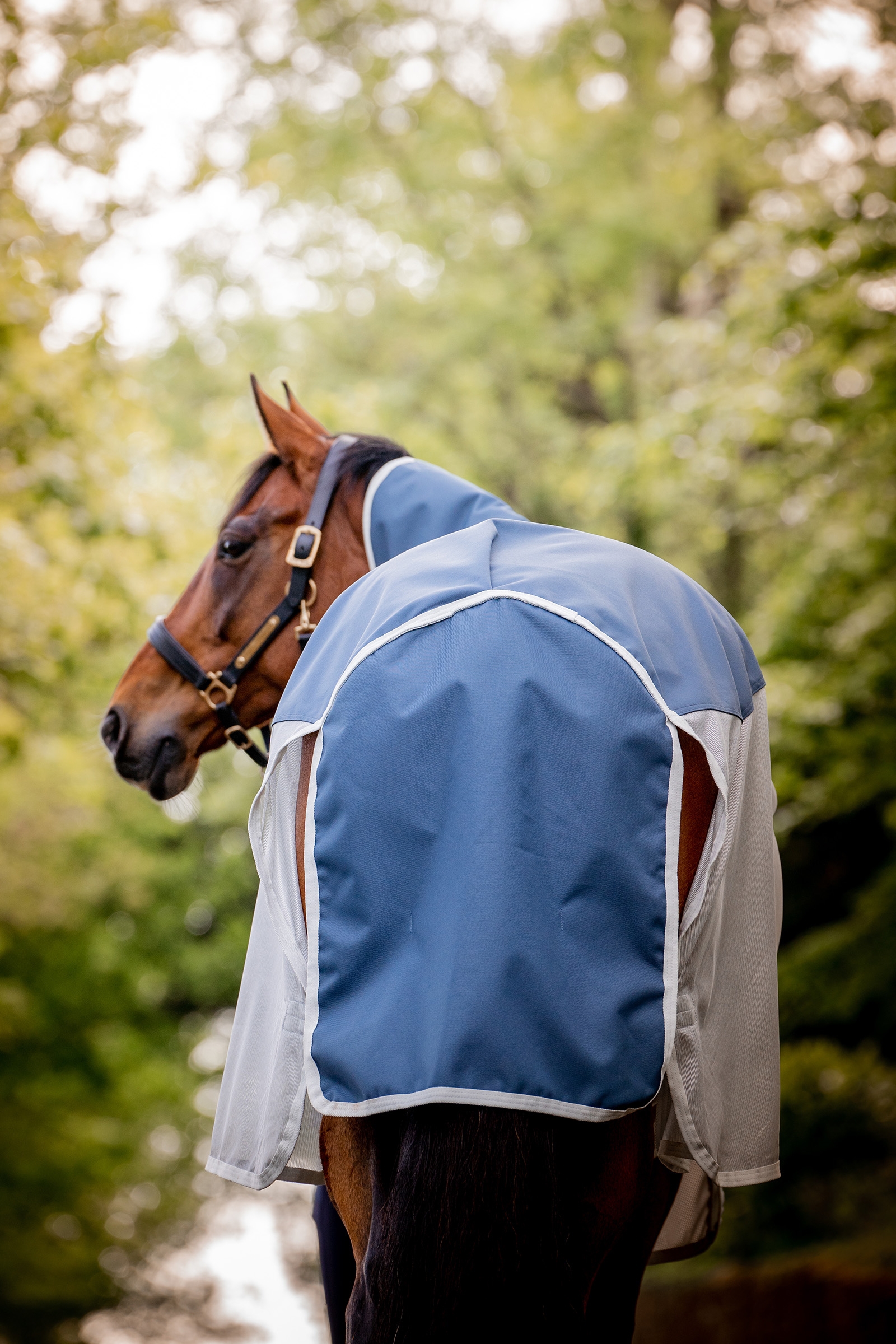 Horseware Amigo AmEco Combi couverture anti-mouches